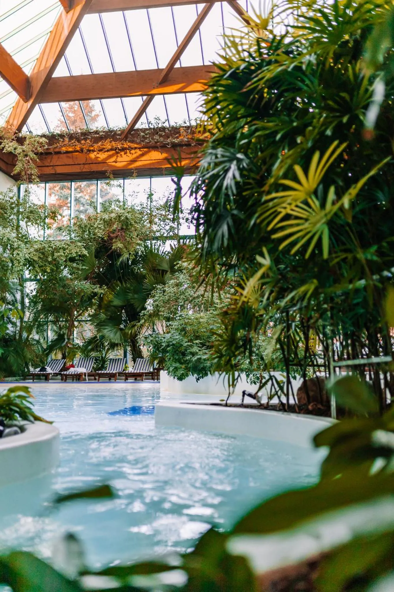 Swimming pool in Rahat Palace Hotel