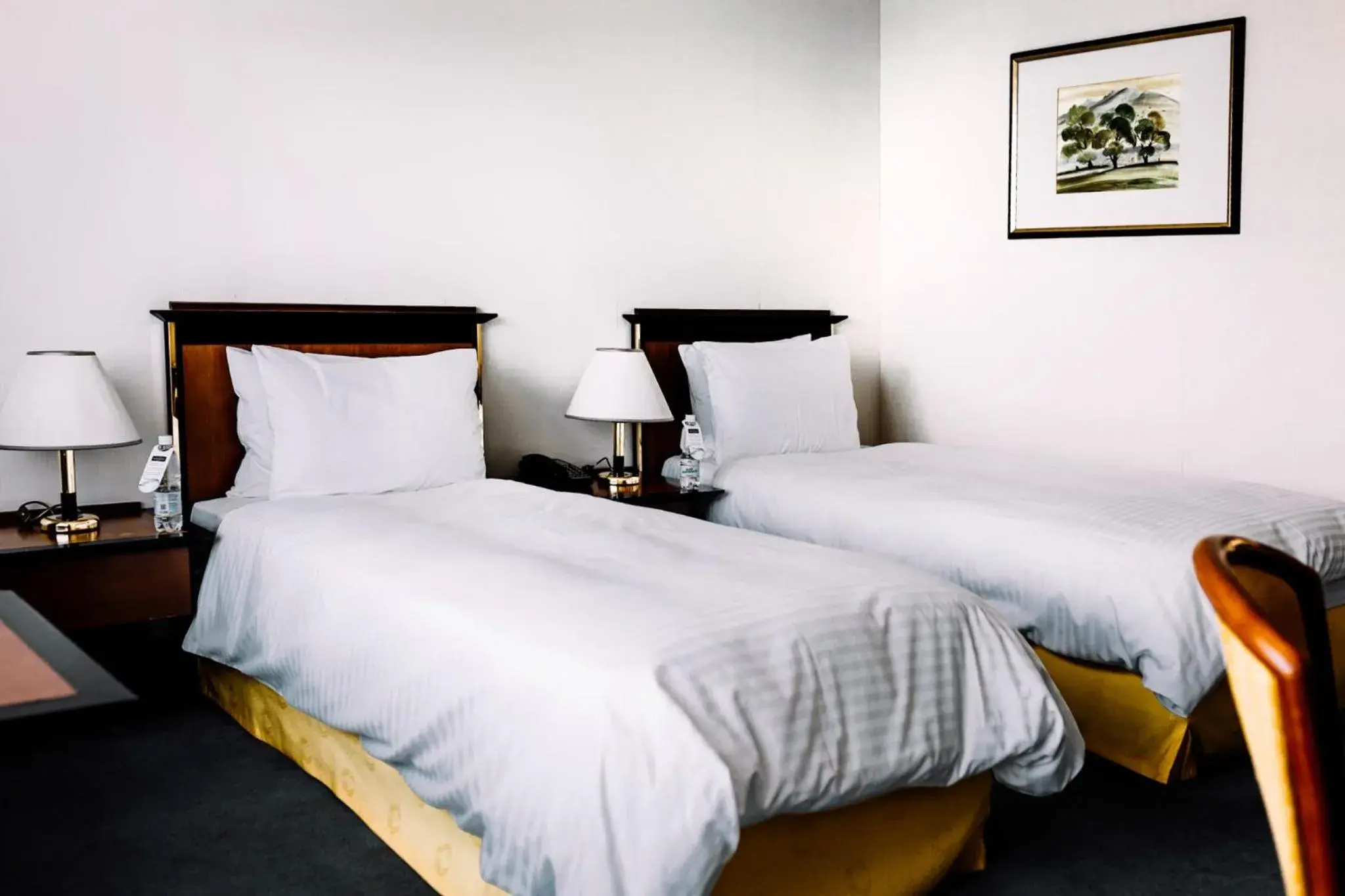 Standard Twin Room - single occupancy in Rahat Palace Hotel Standard Twin Room - single occupancy in Rahat Palace Hotel