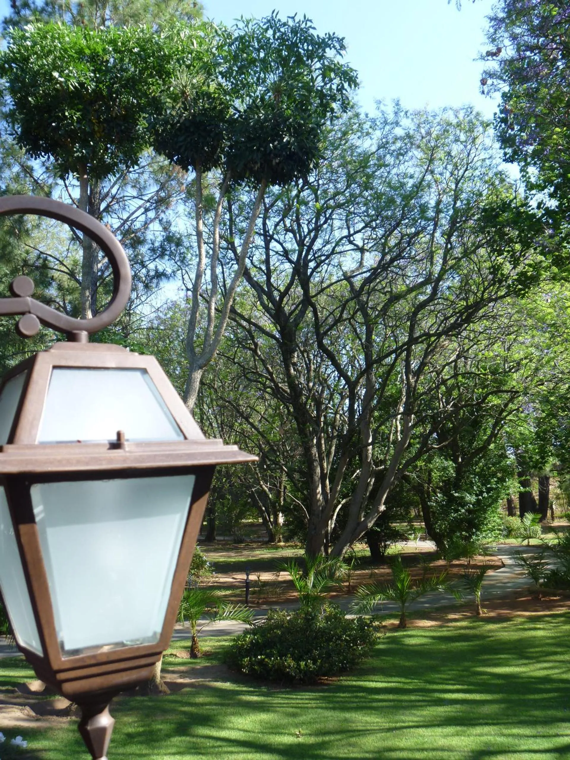 Garden in Farmhouse Lodge