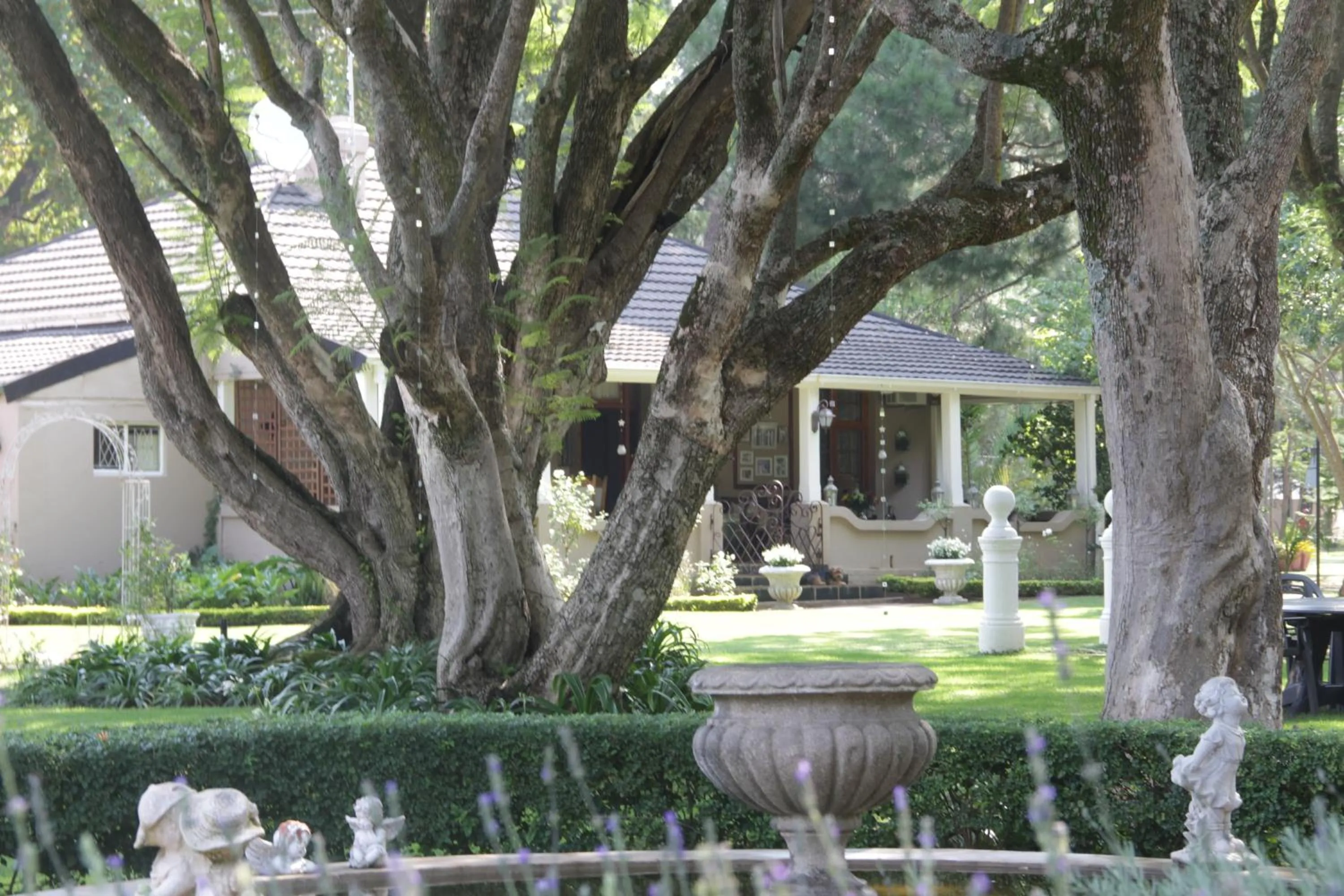 Garden in Farmhouse Lodge