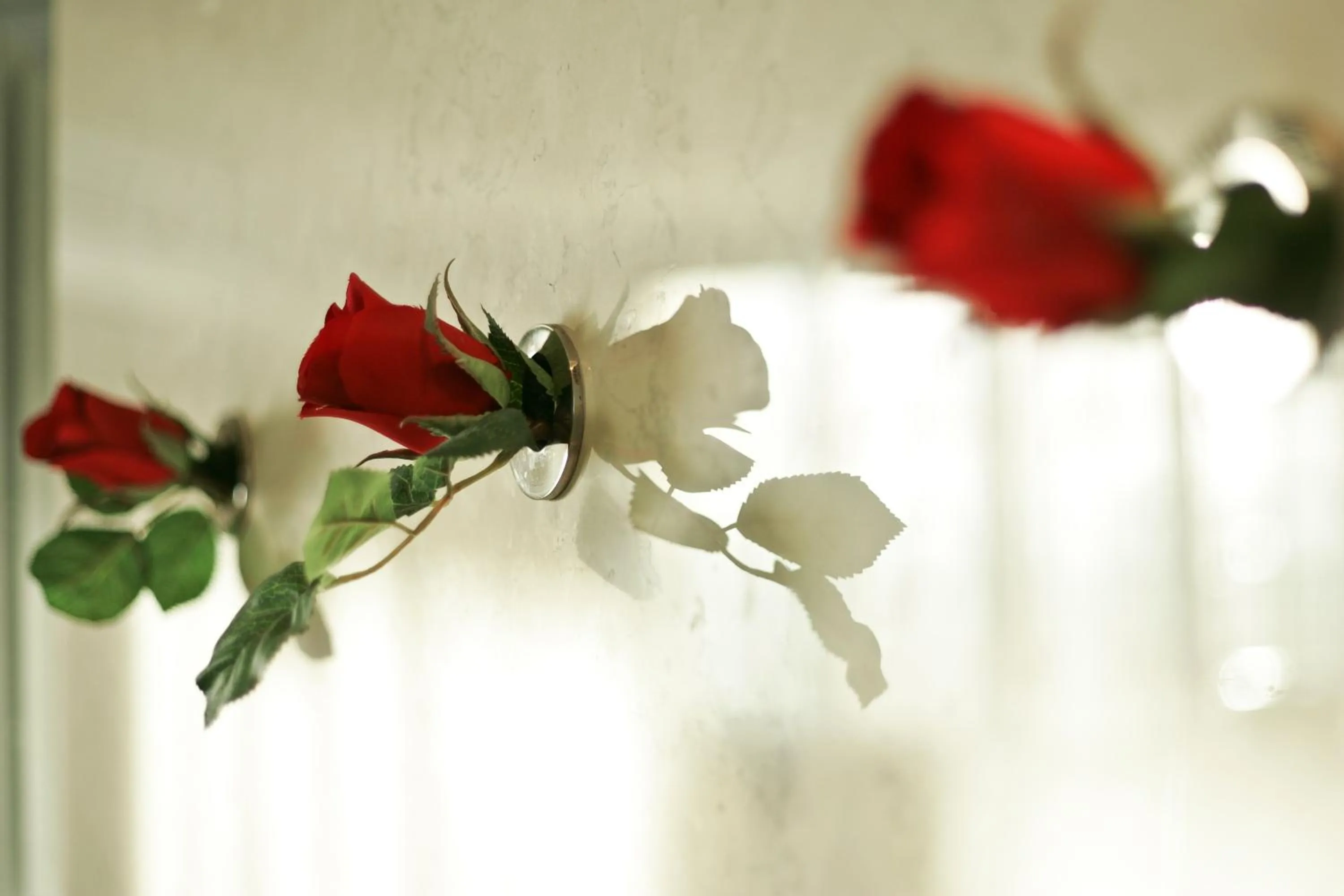 Restaurant/places to eat in Boutique Hotel Mama