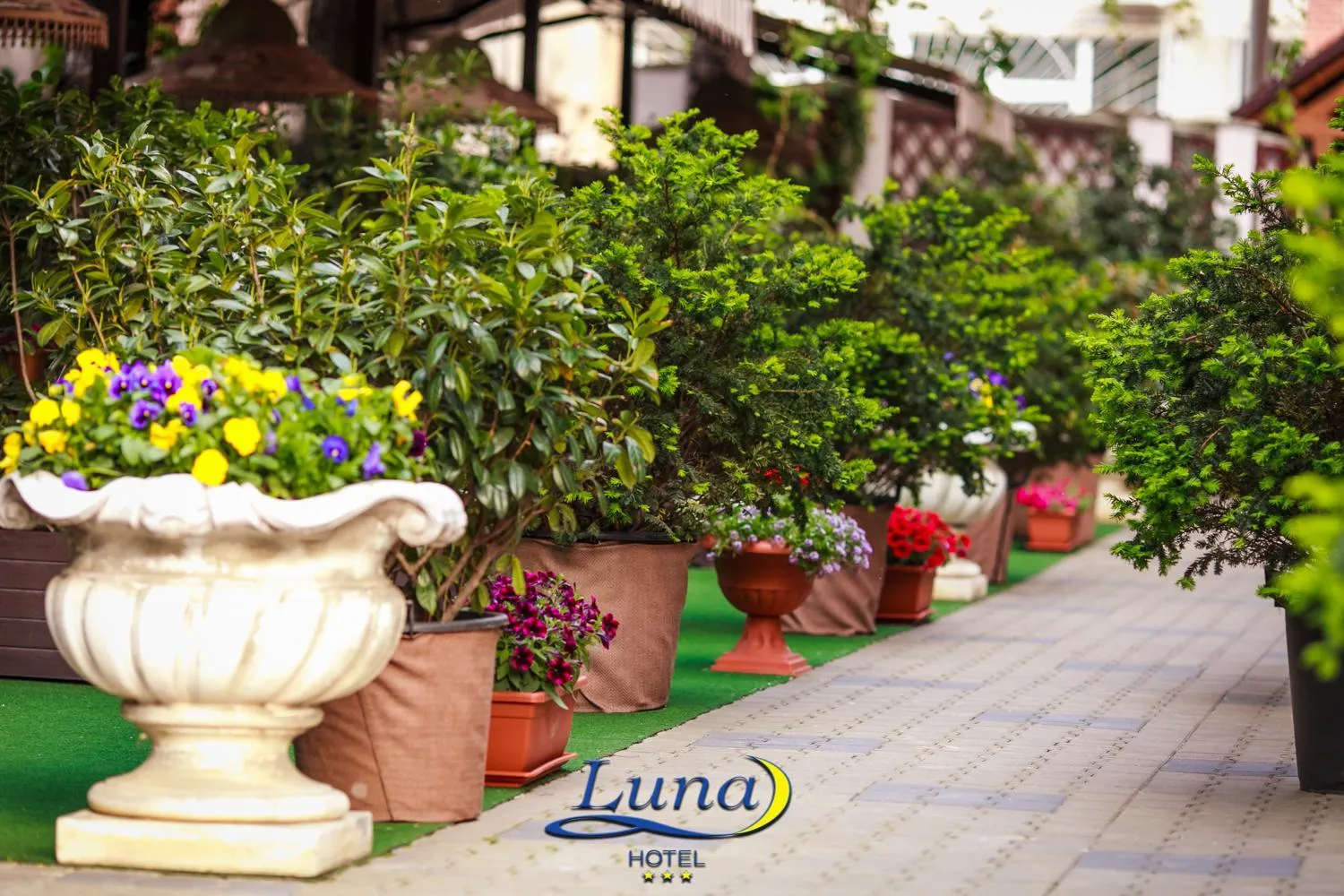 Property building in Luna Hotel