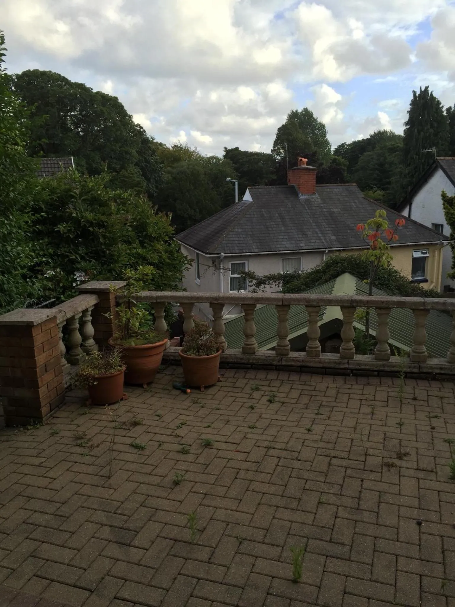 Natural landscape in Wynberg House Bed & Breakfast Swansea