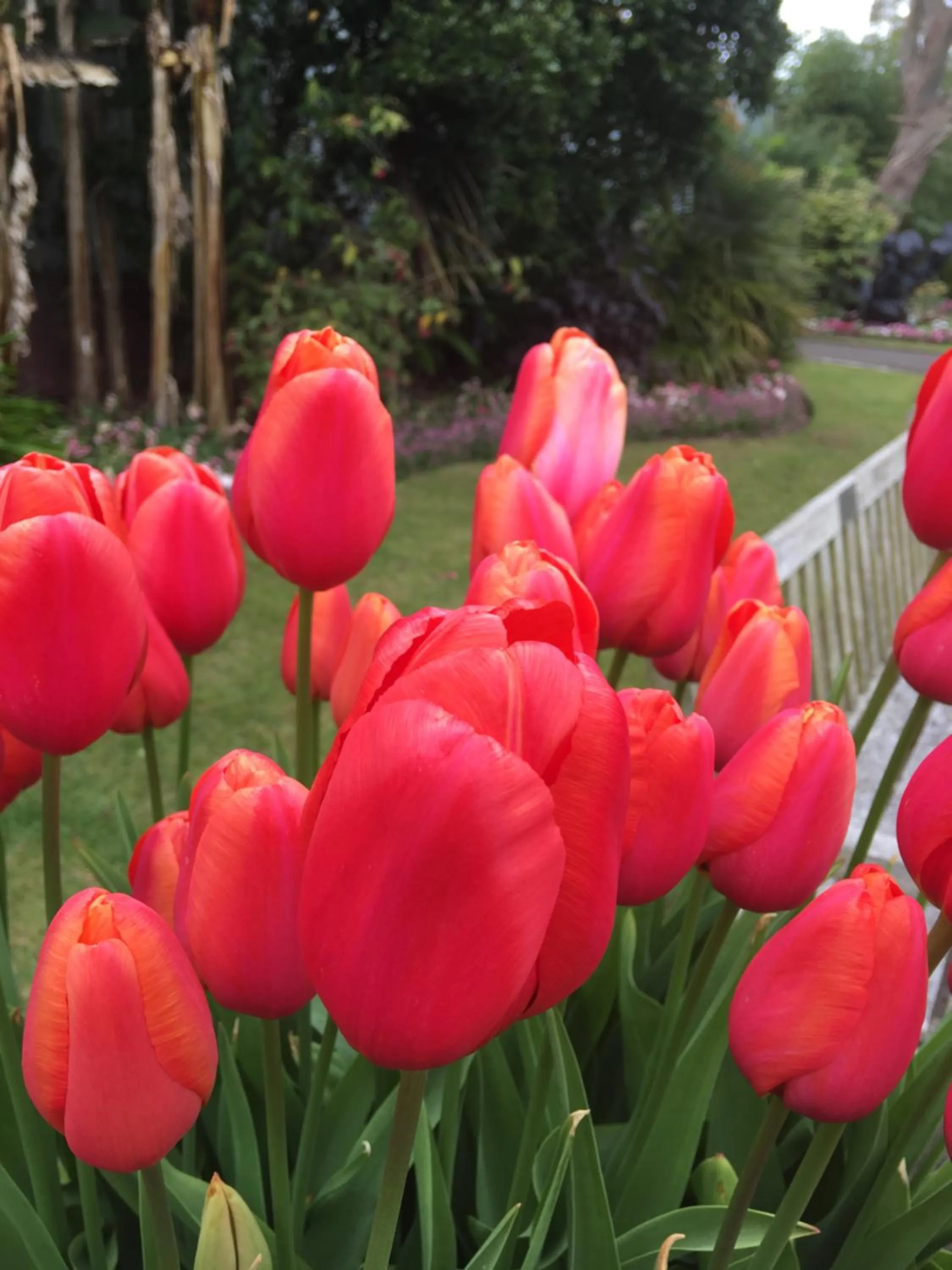 Nearby landmark in Wynberg House Bed & Breakfast Swansea