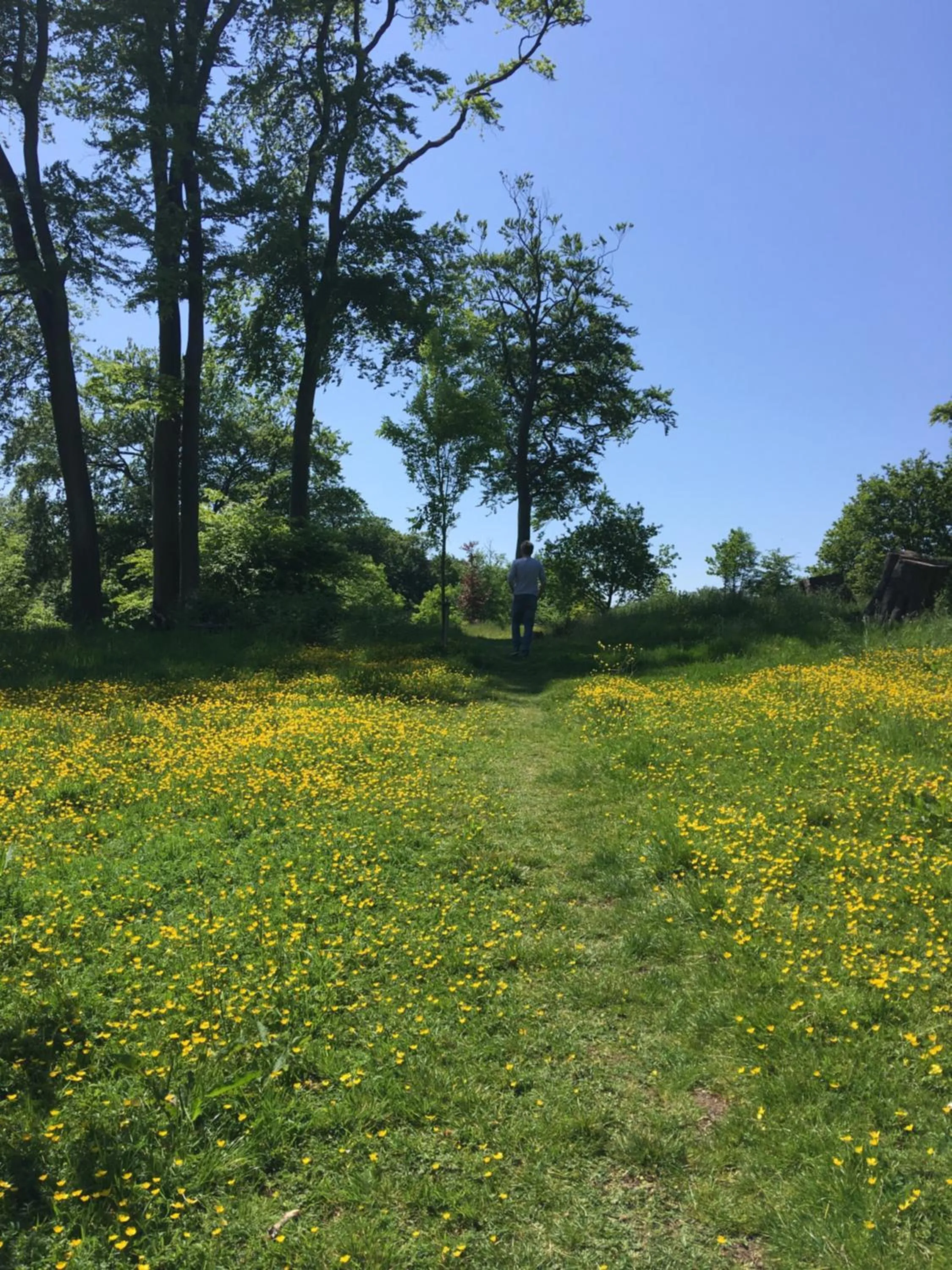 Neighbourhood in Wynberg House Bed & Breakfast Swansea