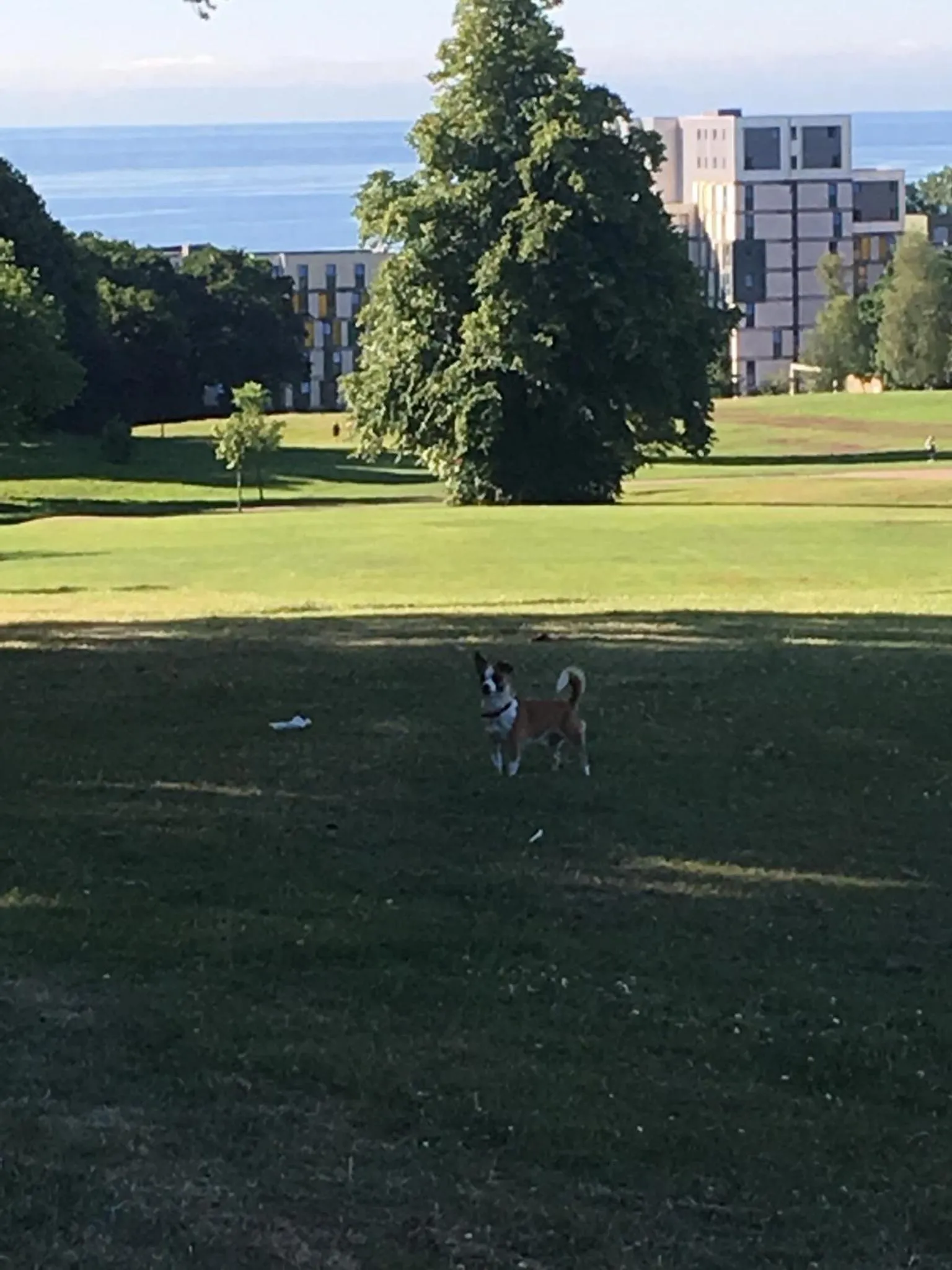 Natural landscape in Wynberg House Bed & Breakfast Swansea