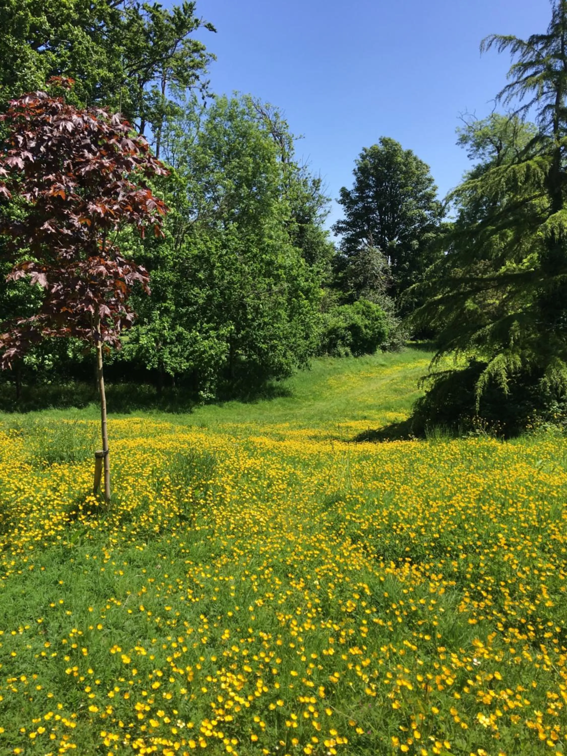 Nearby landmark in Wynberg House Bed & Breakfast Swansea