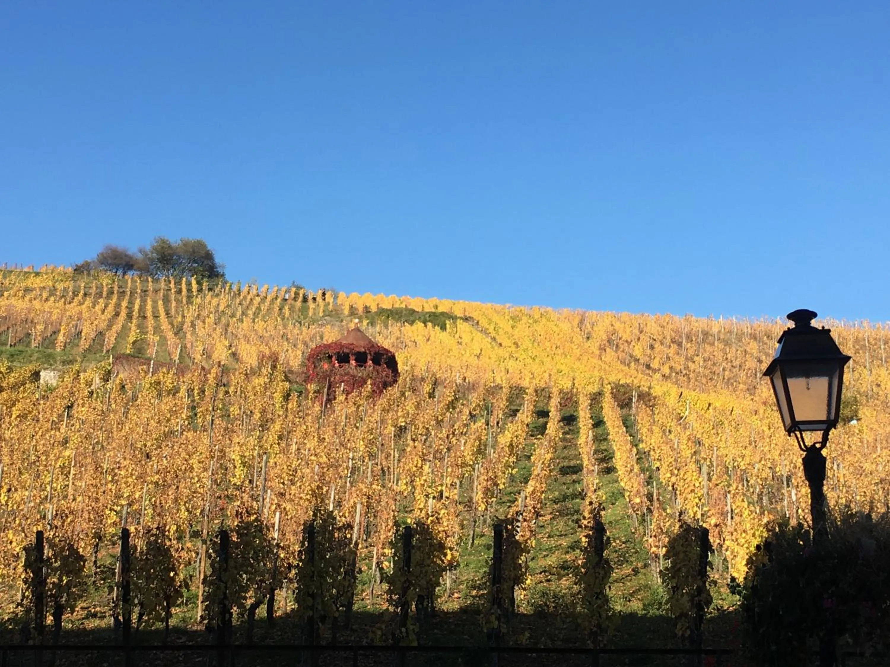 Off site in Laterale Residences Riquewihr