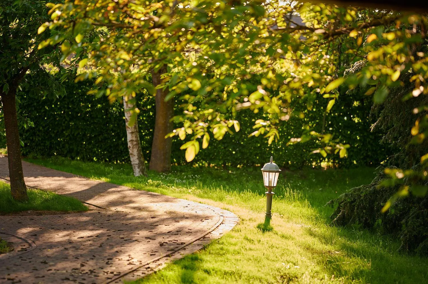 Day in Schloss Wissen