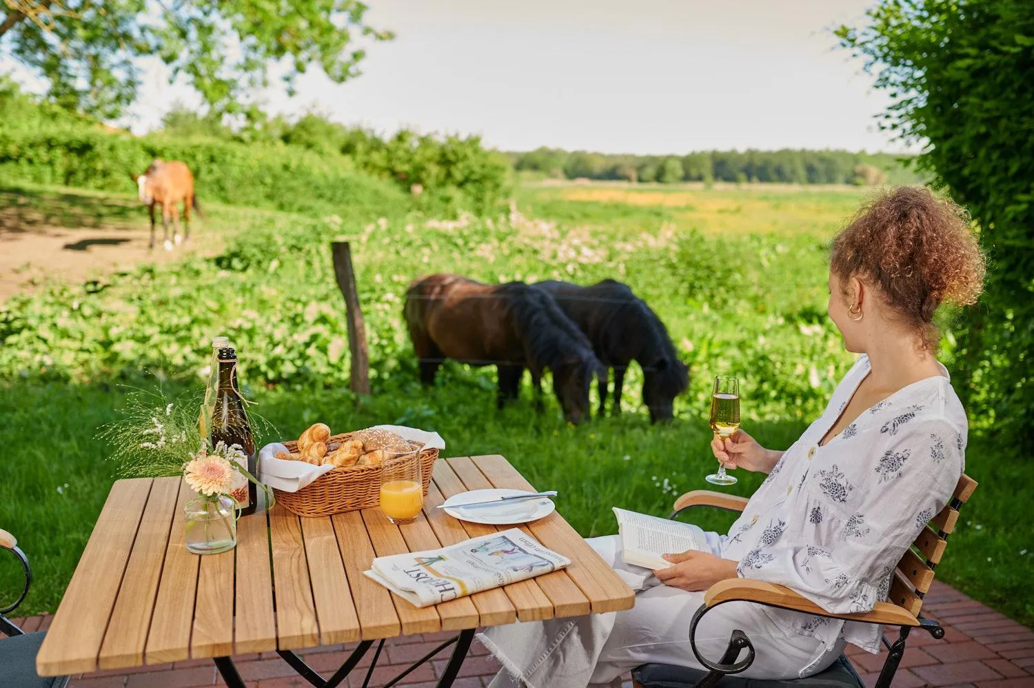 Natural landscape in Schloss Wissen