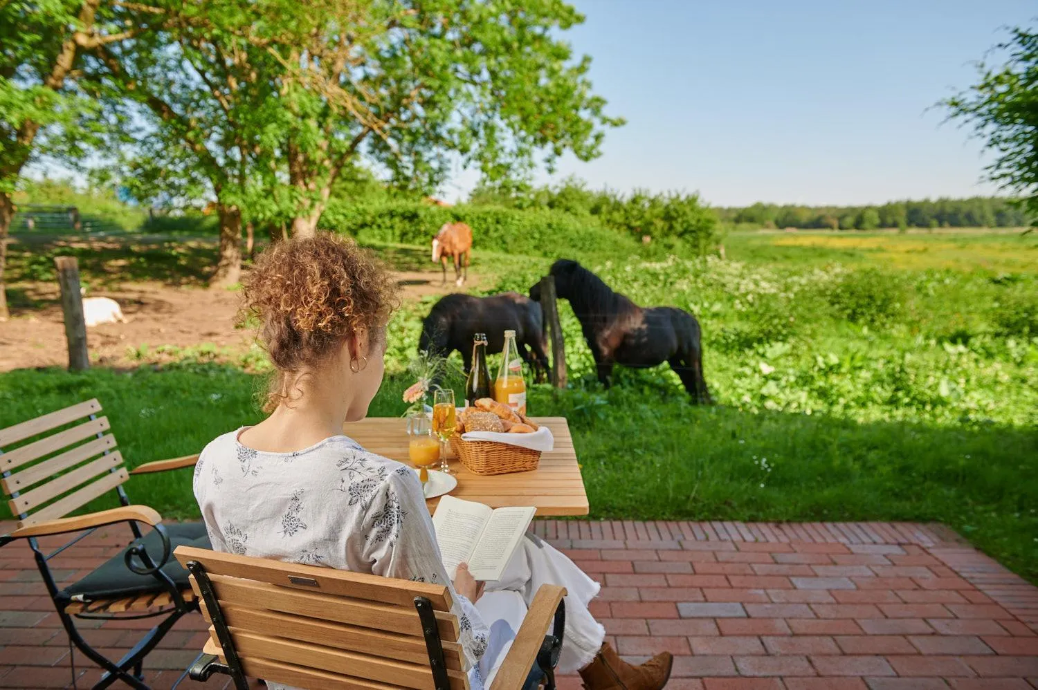 Balcony/Terrace in Schloss Wissen