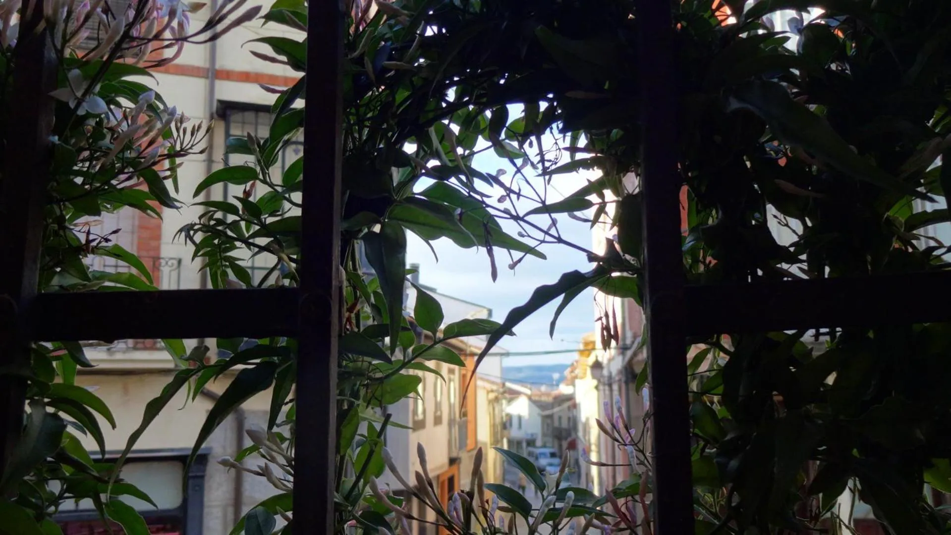 Hotel Rural Cayetana