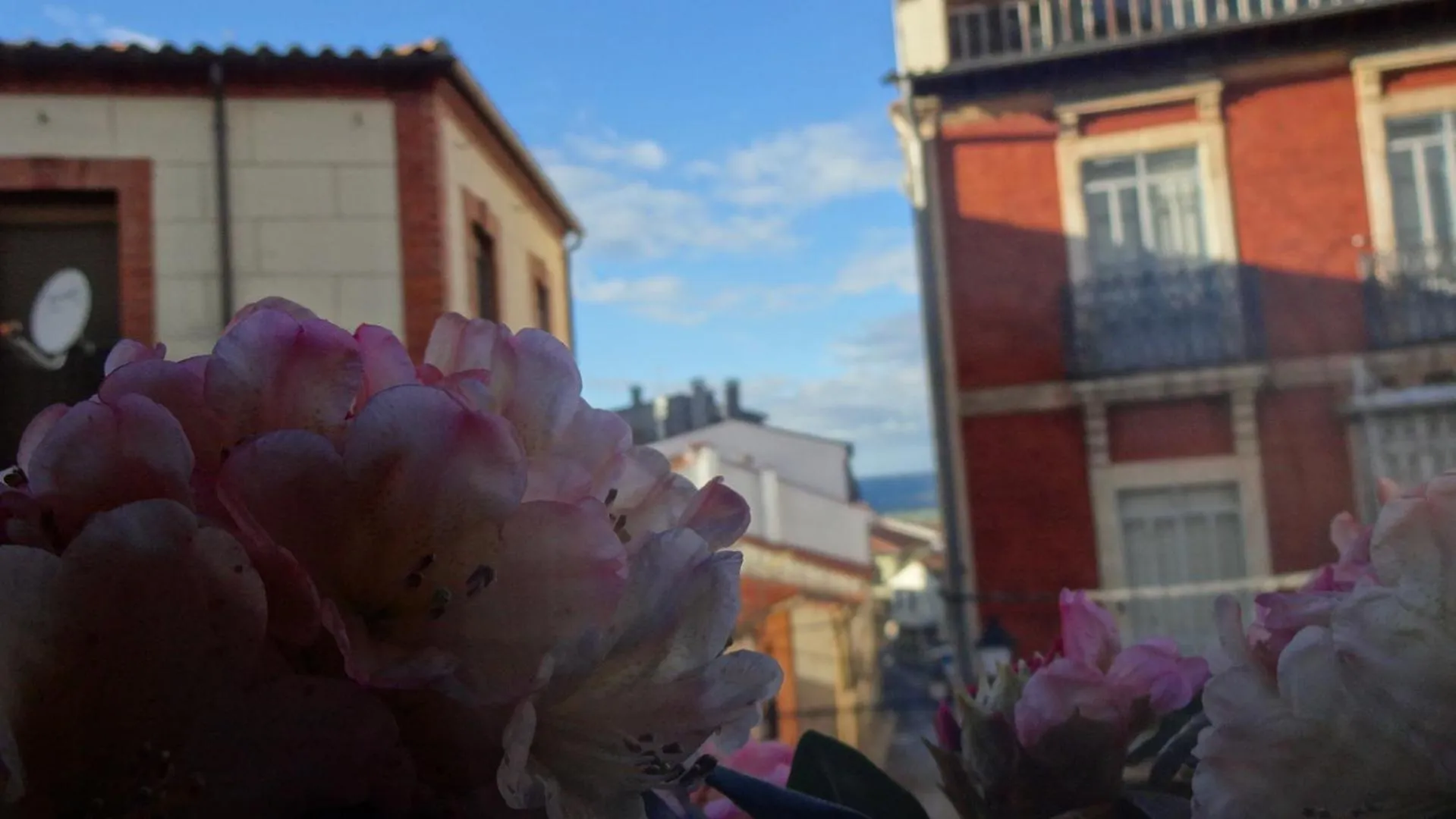 Hotel Rural Cayetana