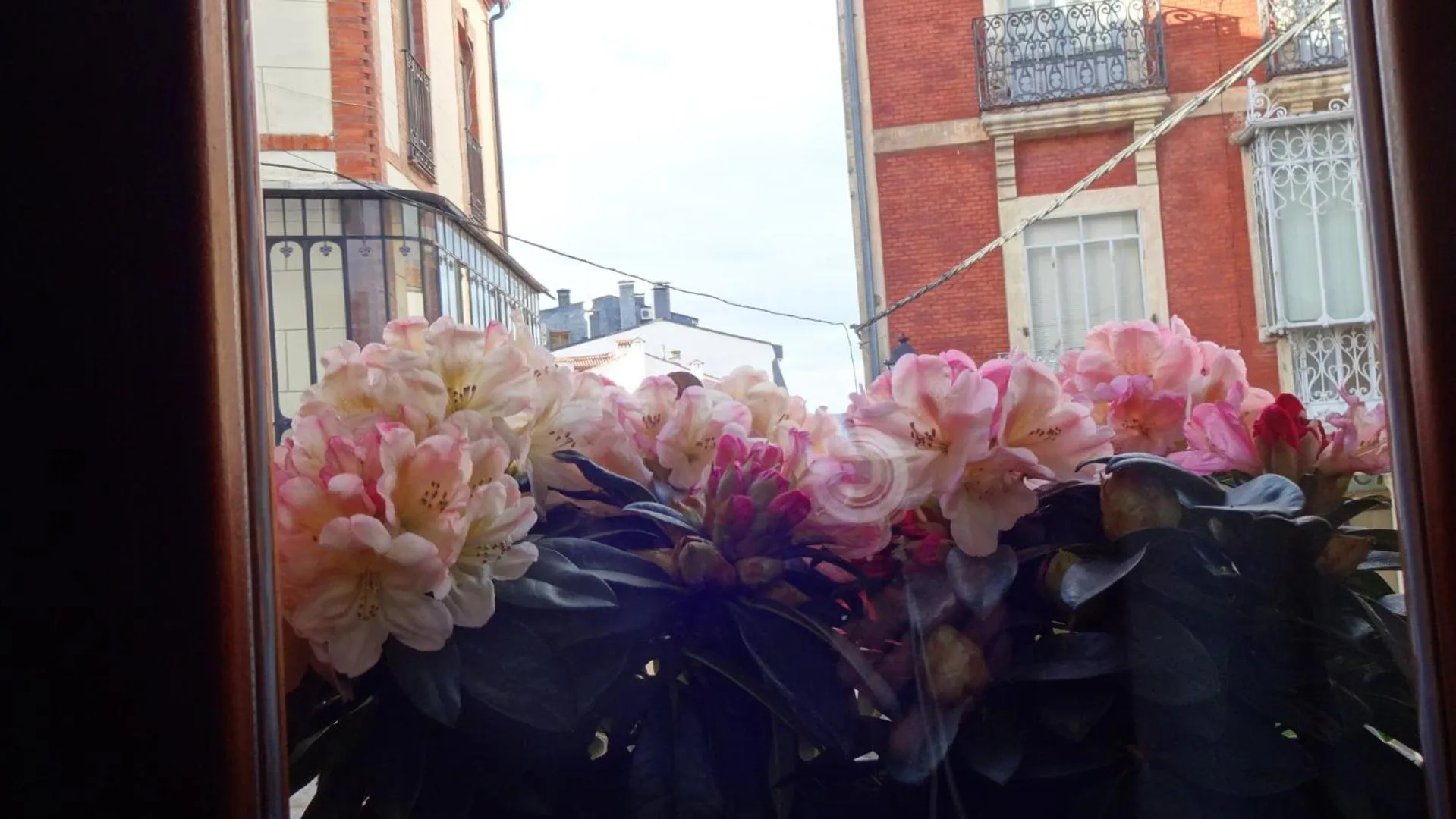 Hotel Rural Cayetana