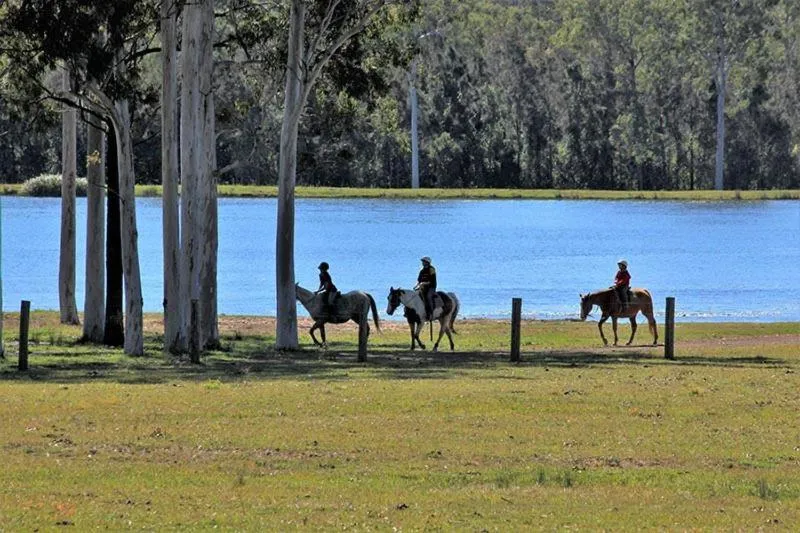 Horse-riding in Santalina On Hervey Bay