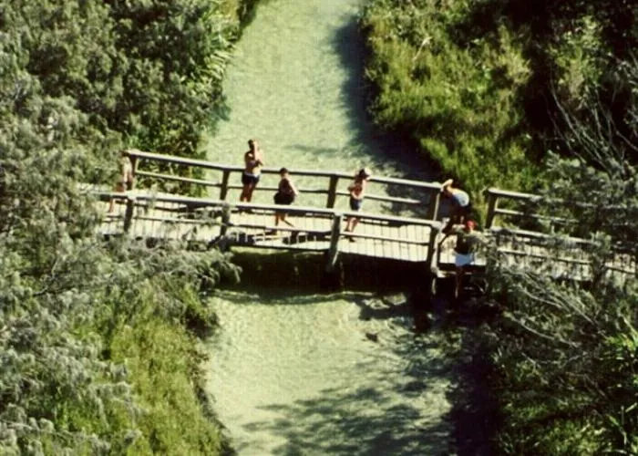 Natural landscape in Santalina On Hervey Bay