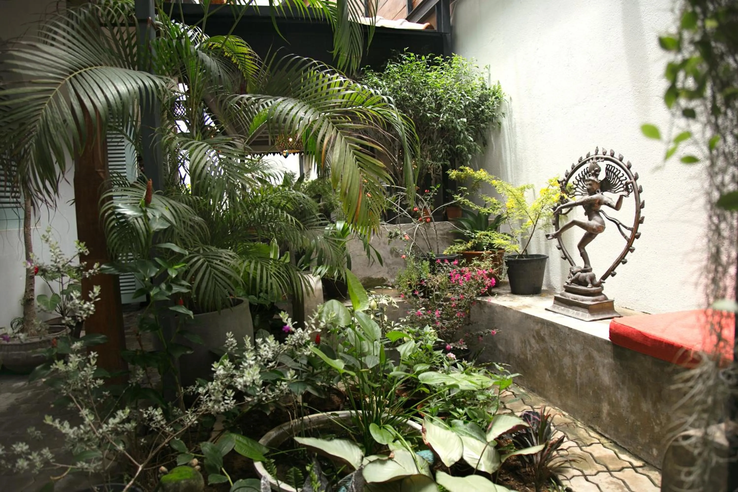 Garden in LE JARDIN DU FORT - GALLE