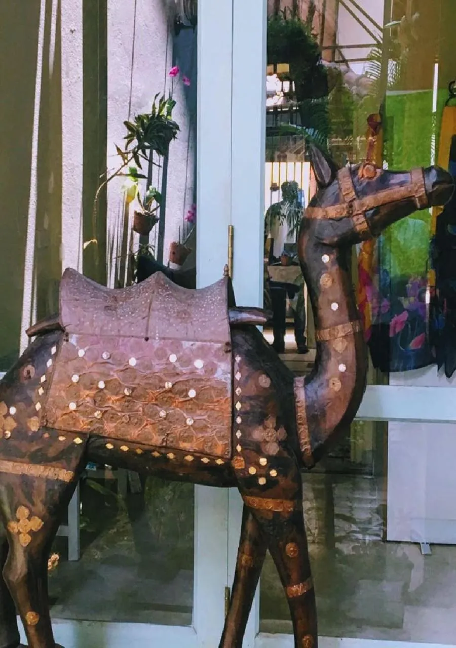 Decorative detail in LE JARDIN DU FORT - GALLE