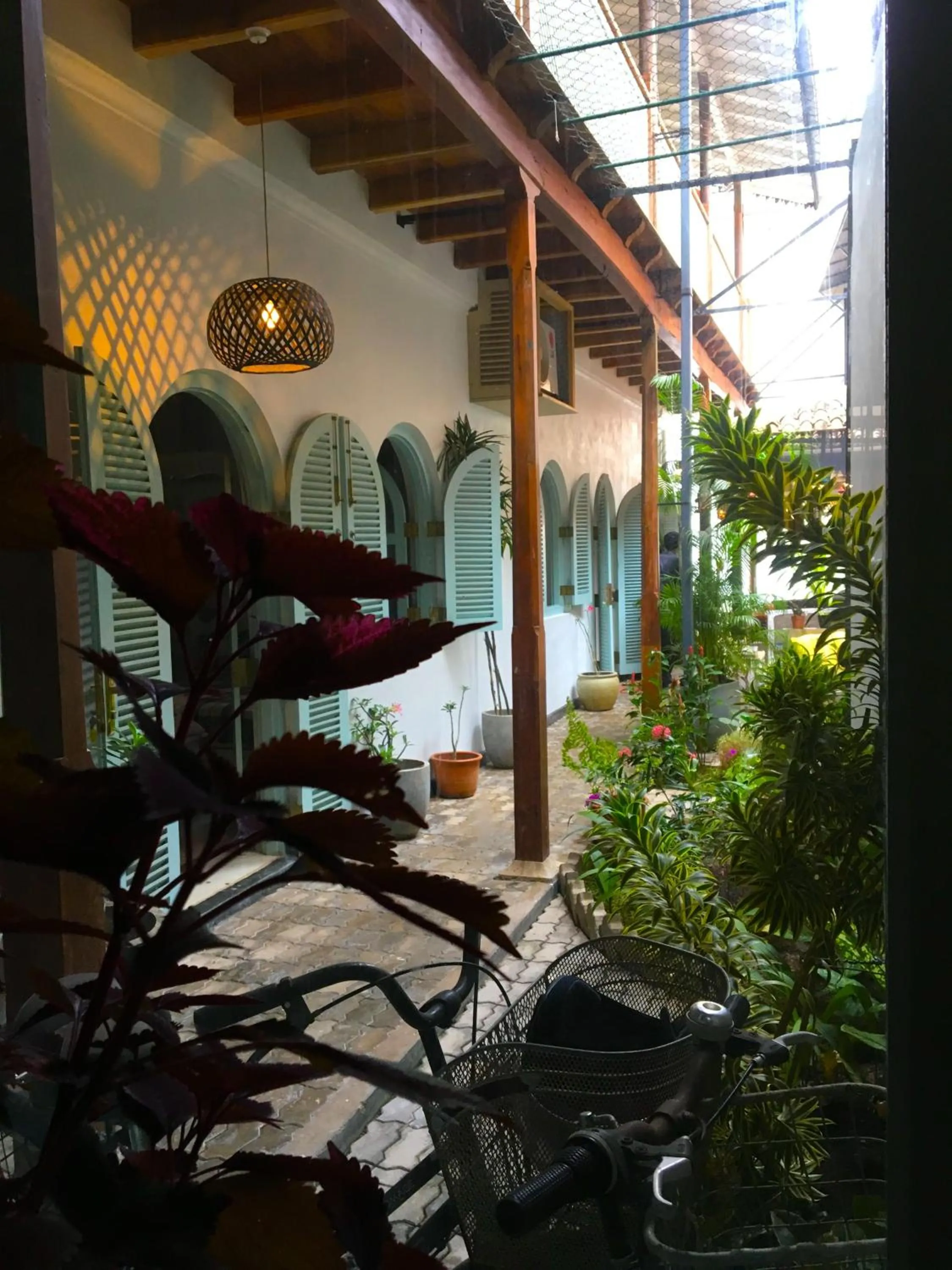 Garden in LE JARDIN DU FORT - GALLE