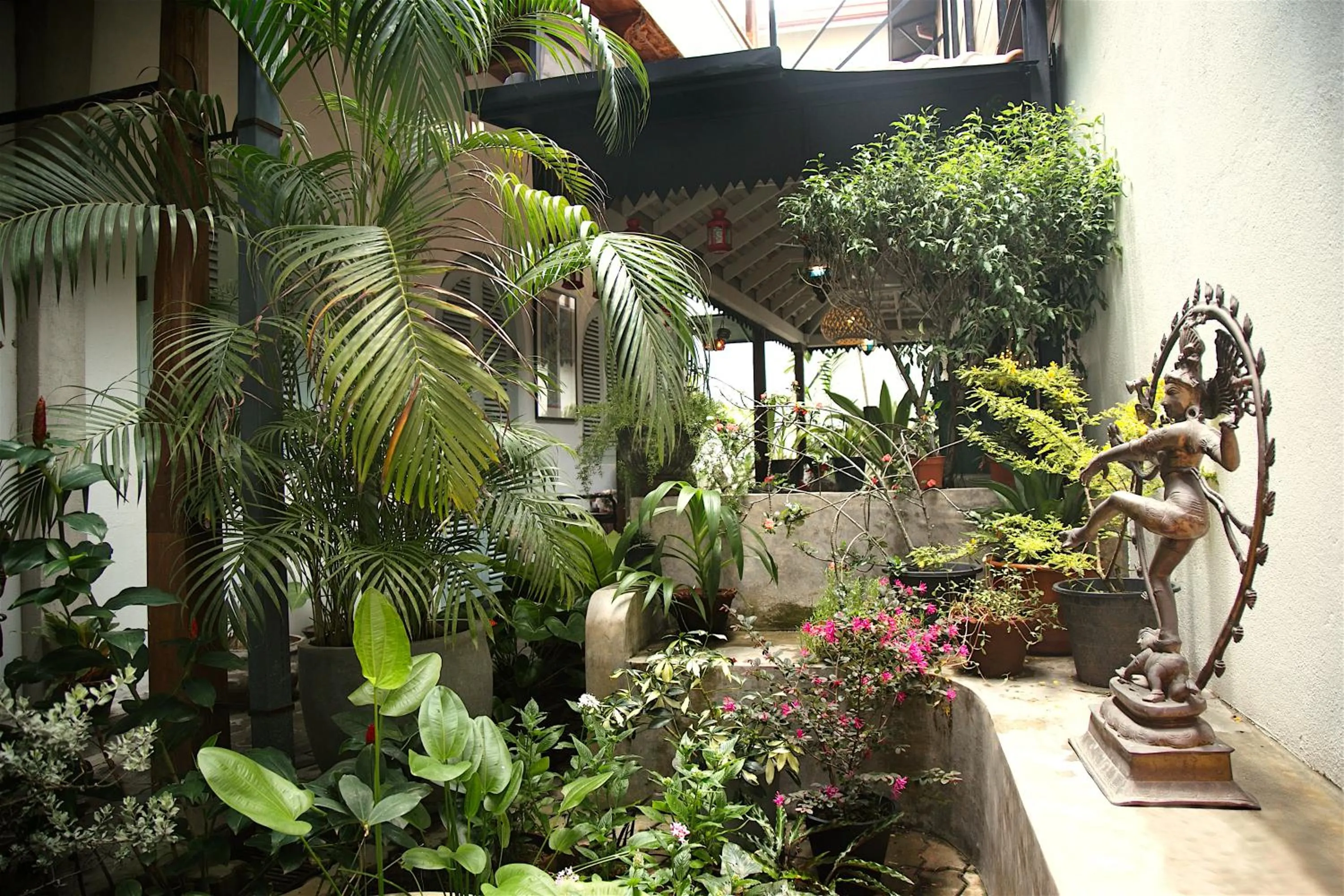 Patio in LE JARDIN DU FORT - GALLE