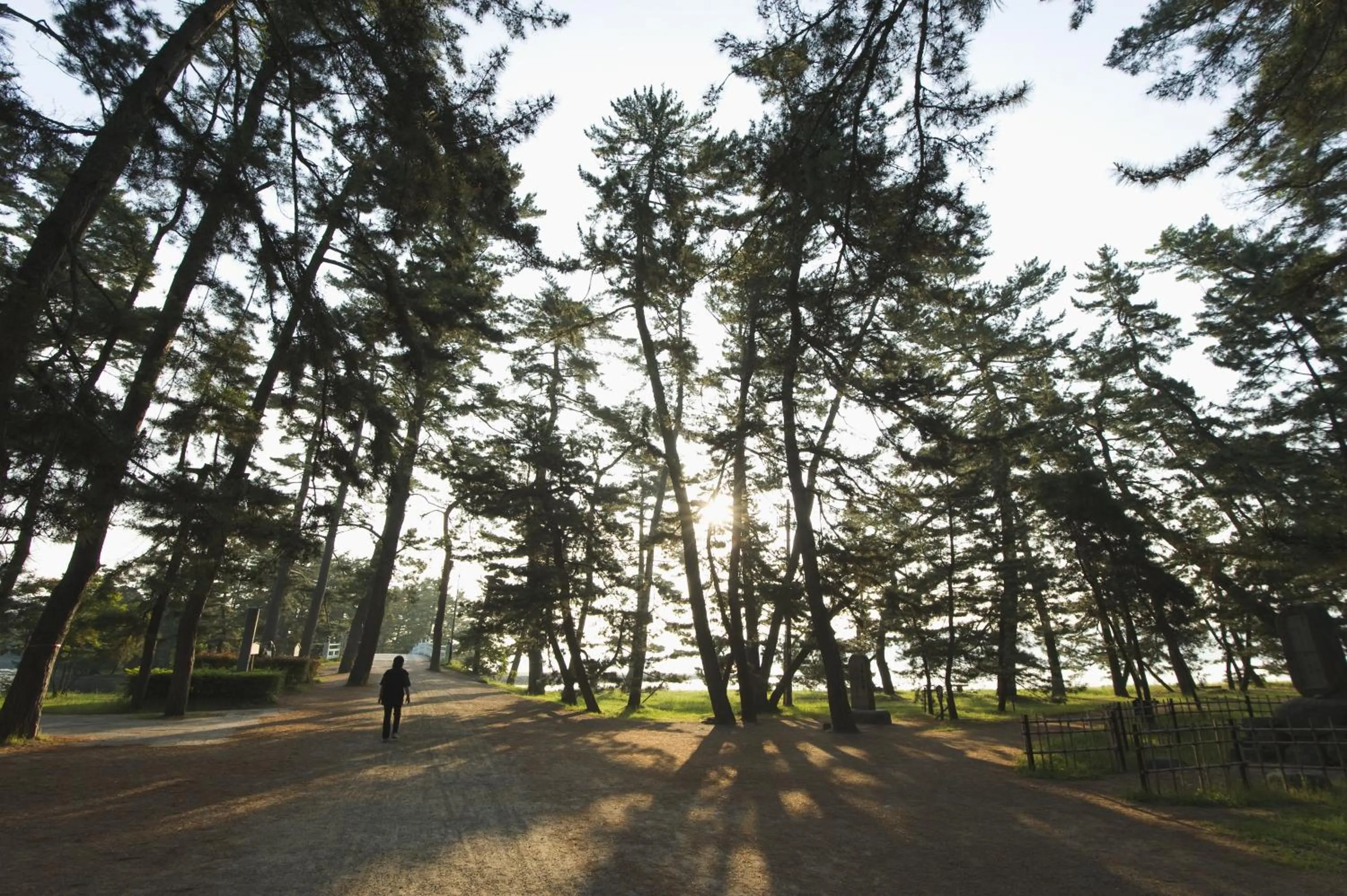 Nearby landmark in Taikyourou