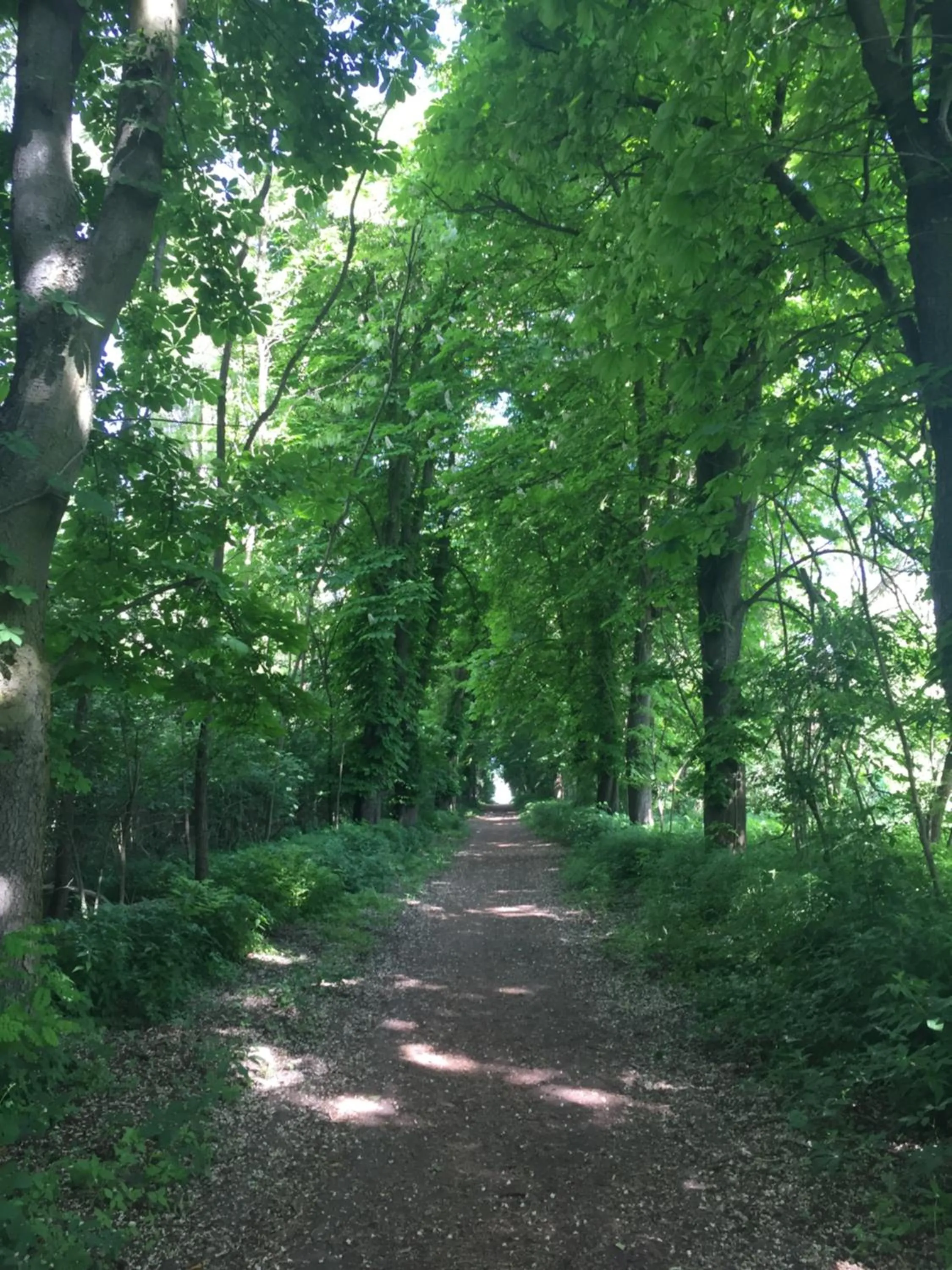 Spring in Hotel Ponteo - Activity Park