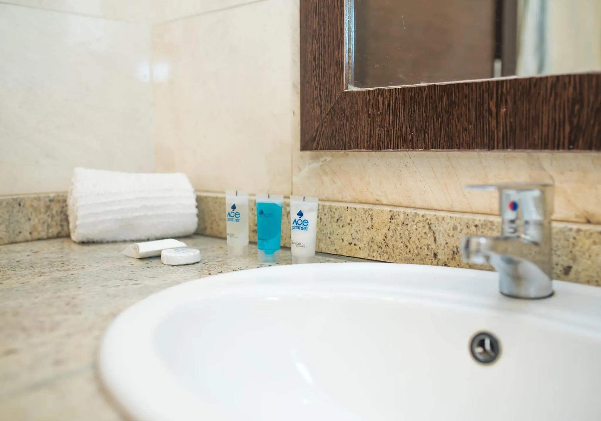 Bathroom in Ace Premier Hotel