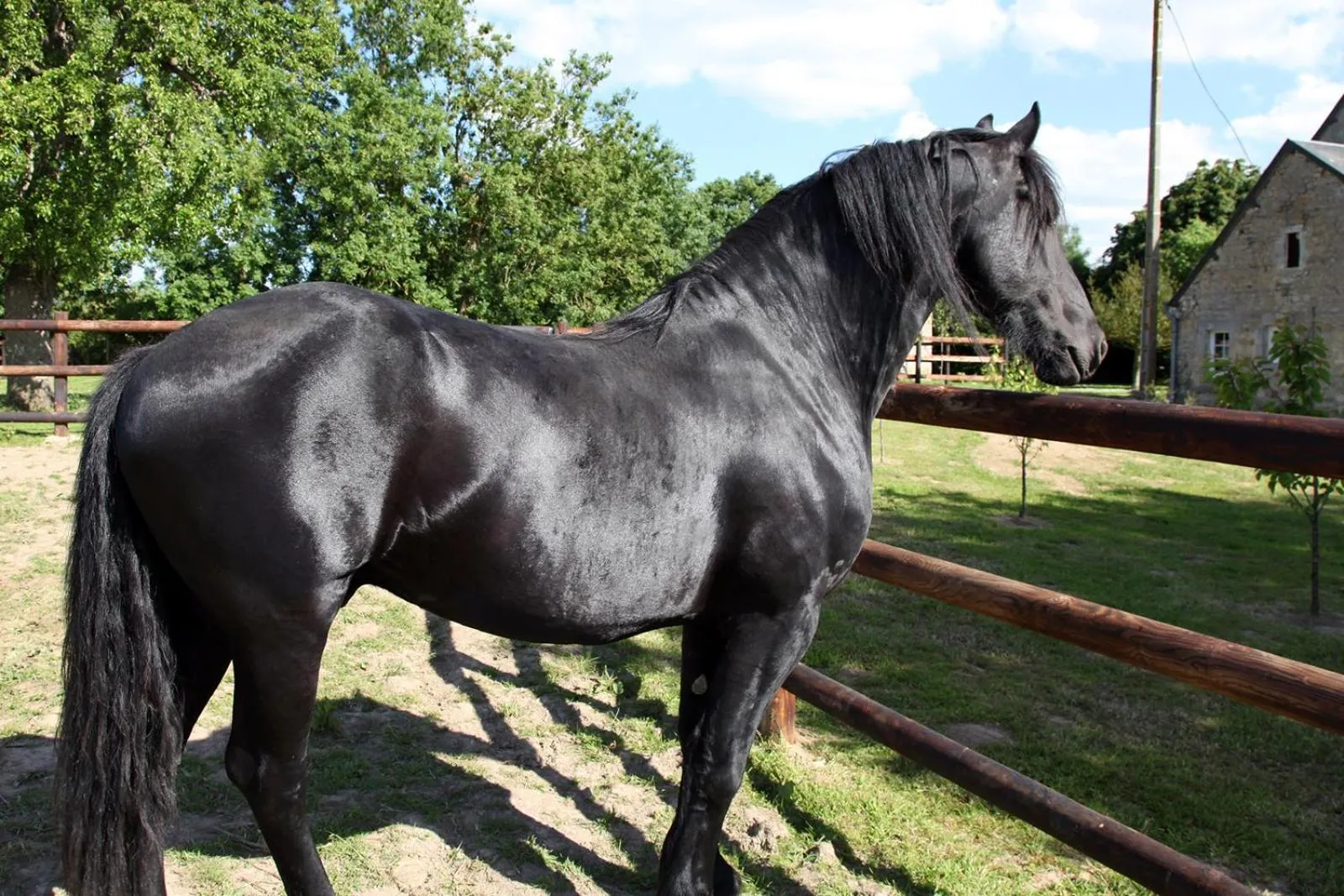 Animals in Les Pérelles