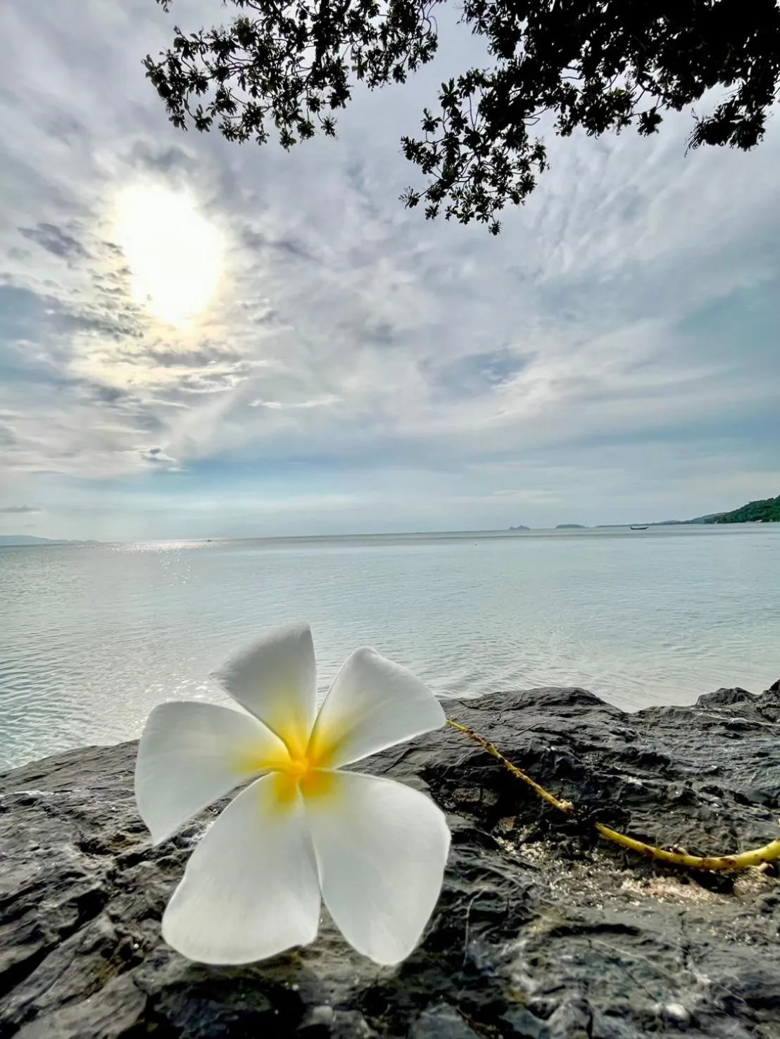 Inner courtyard view in Sunset Beach Villas