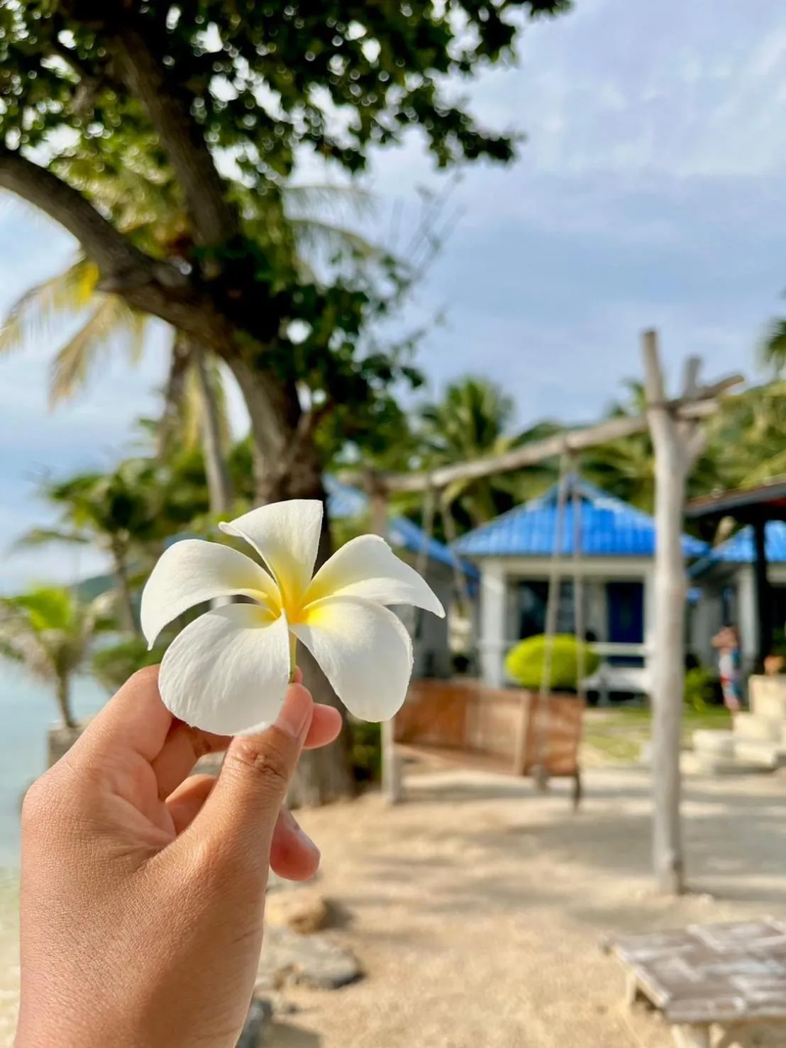 Inner courtyard view in Sunset Beach Villas