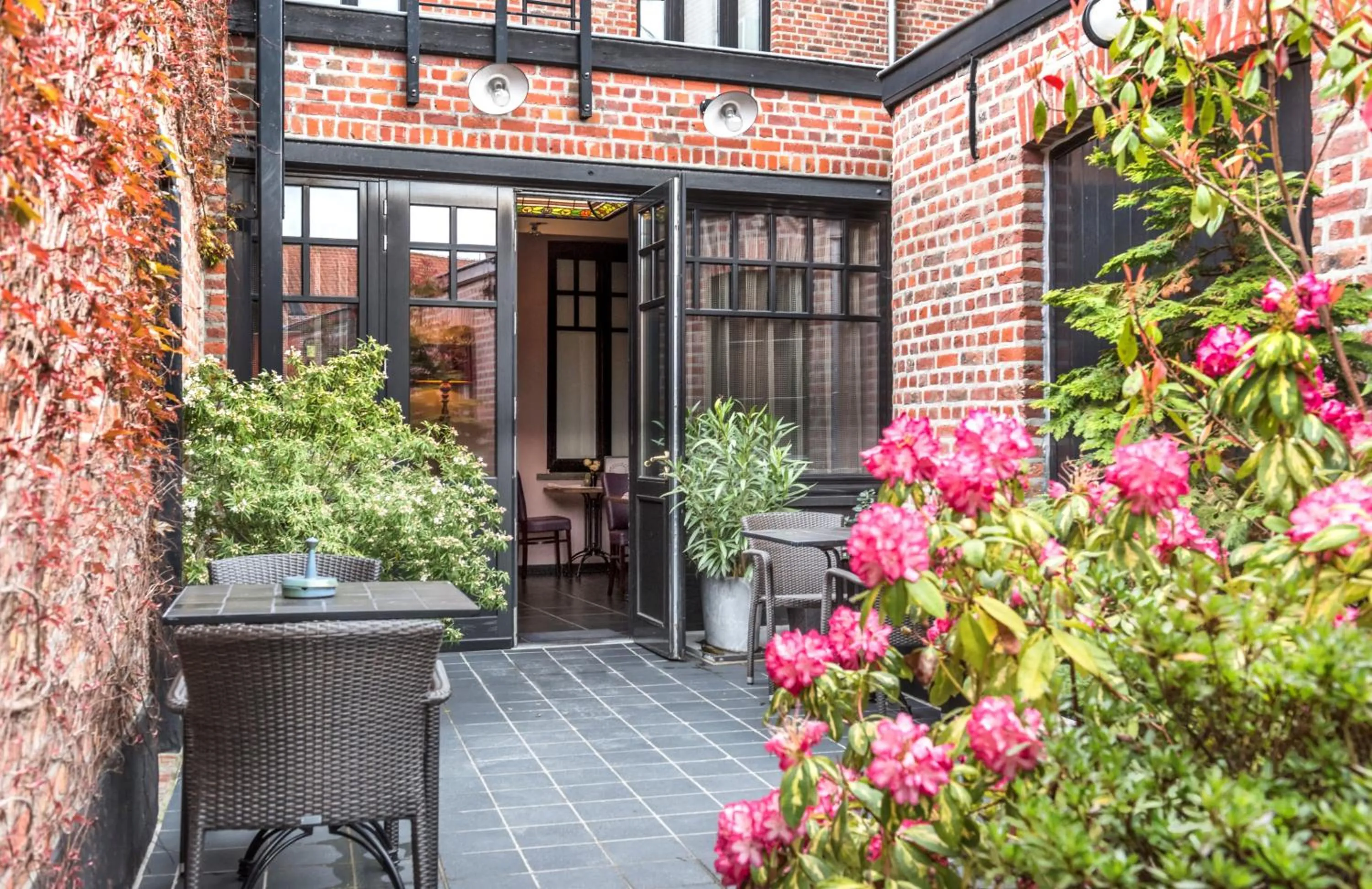 Garden in Main Street Hotel