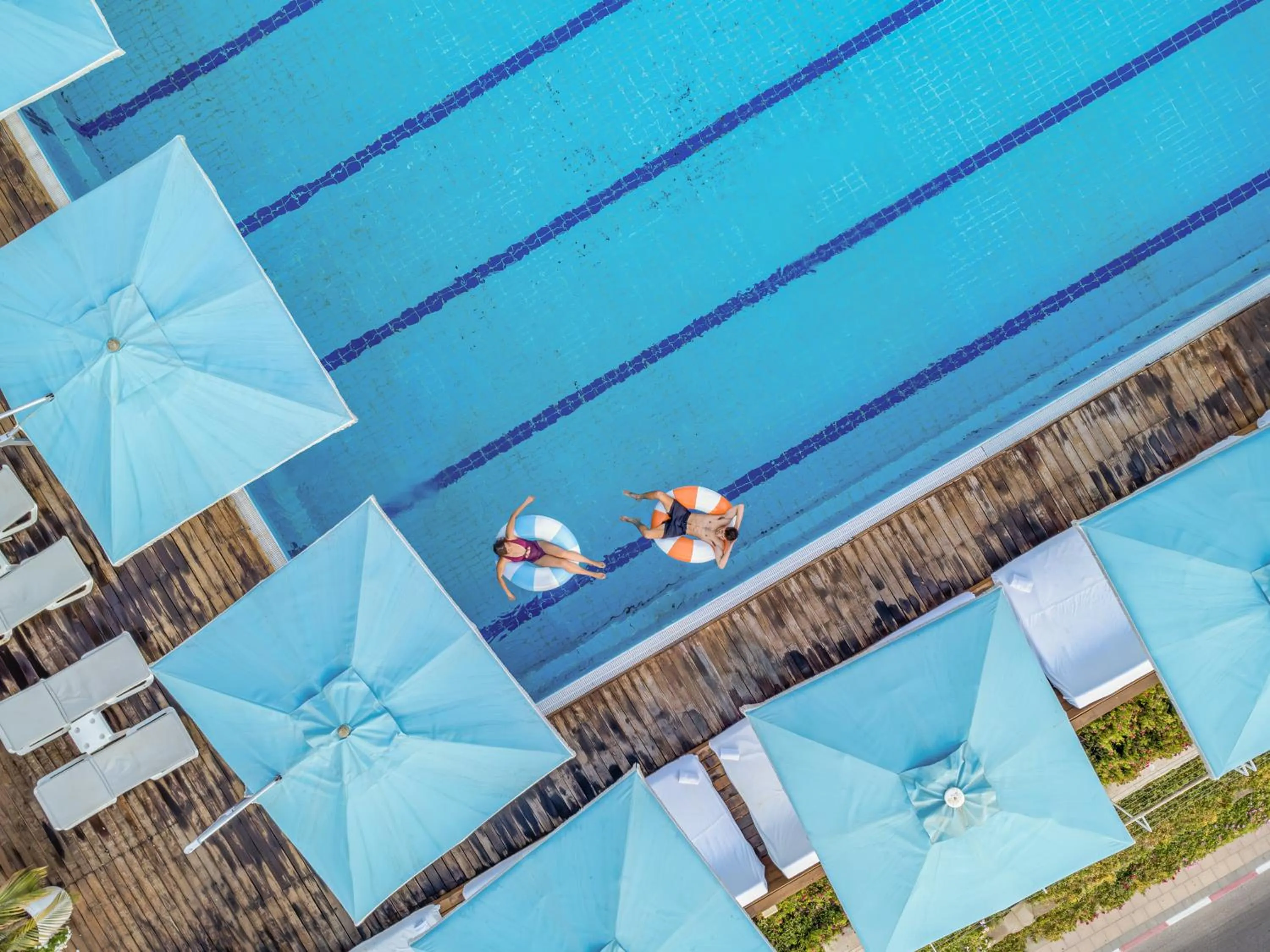 Pool view in Noga by Isrotel Collection