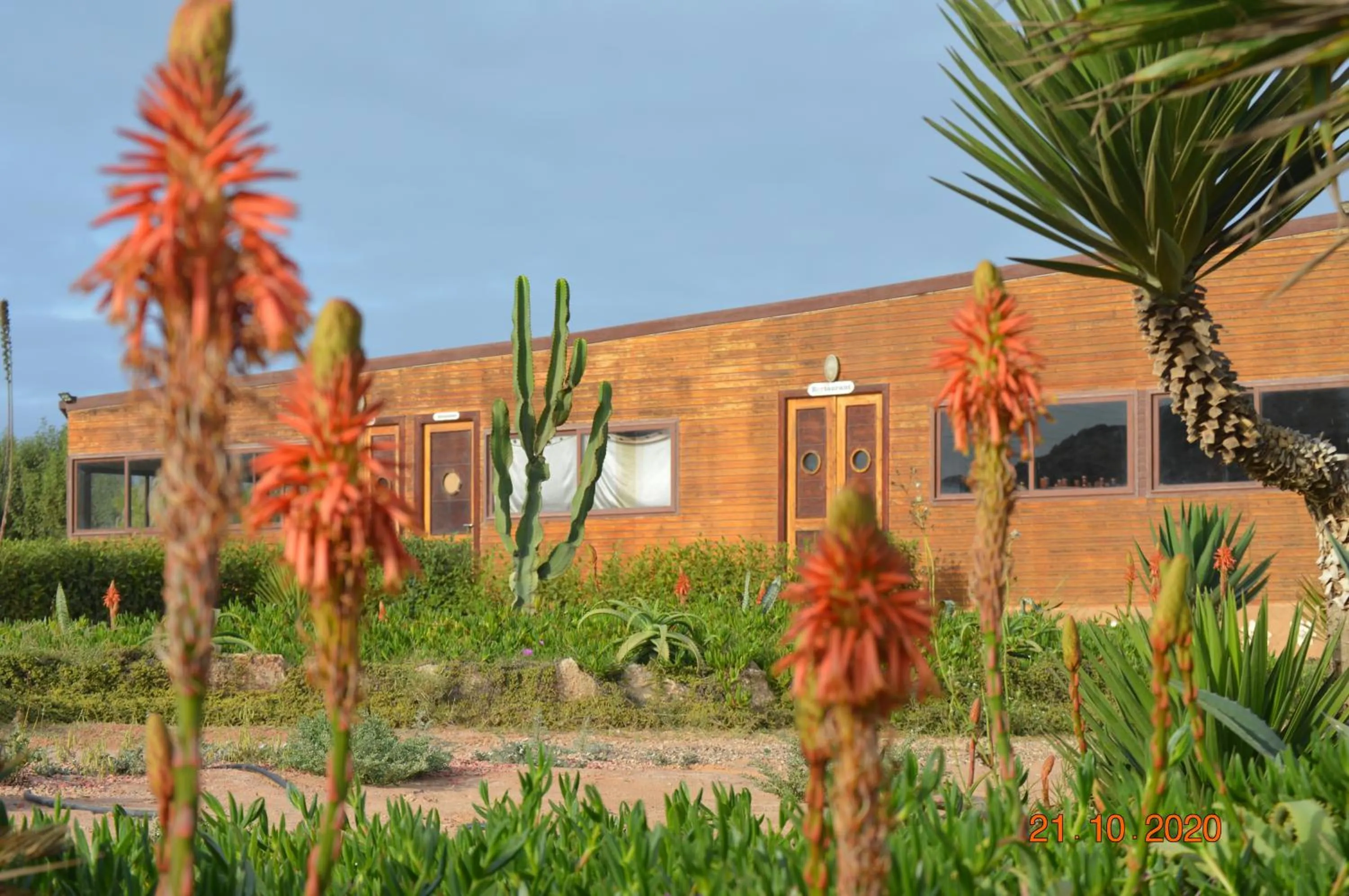 Restaurant/places to eat in Dakhla Kitesurf World