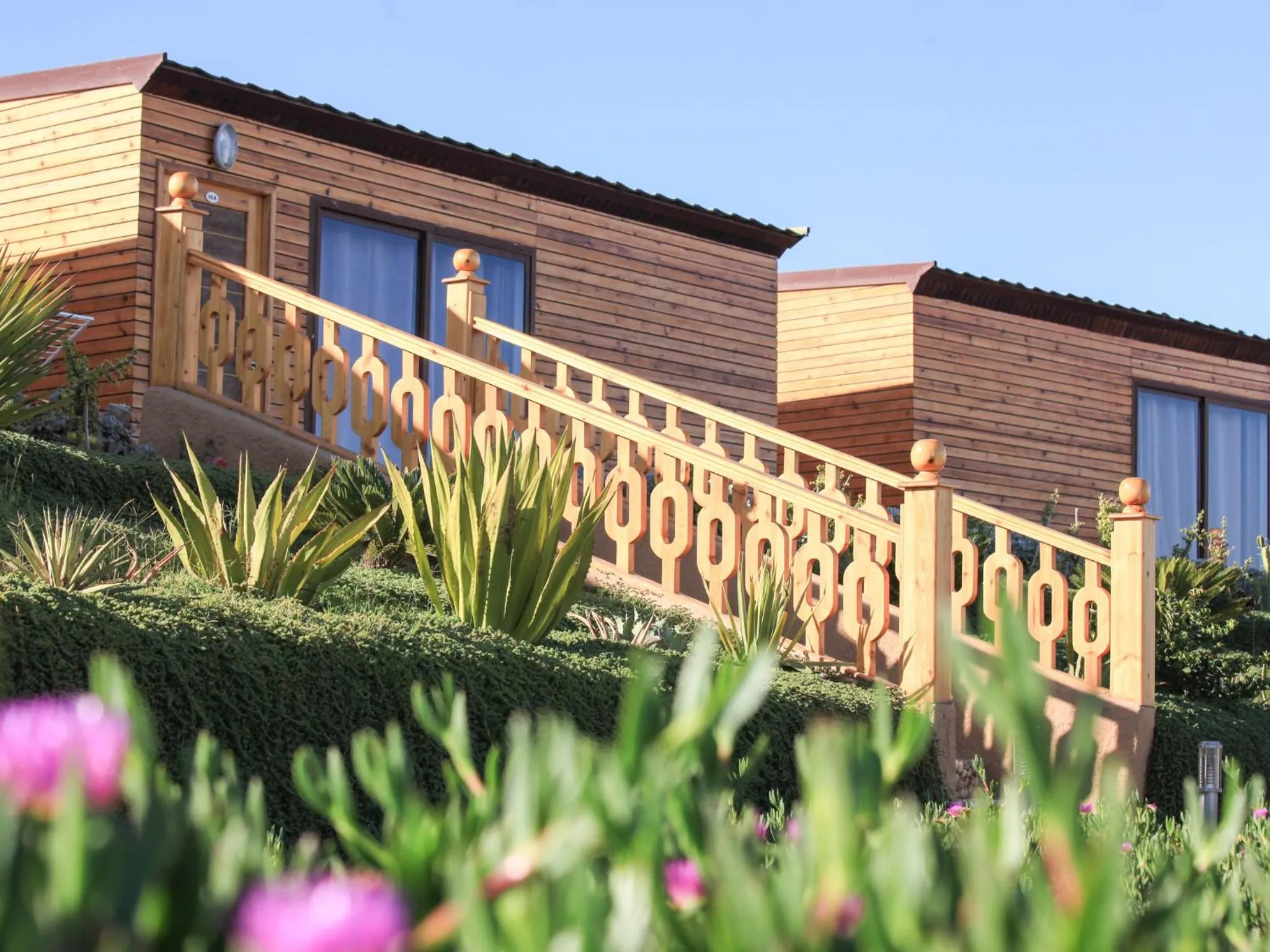 Garden in Dakhla Kitesurf World