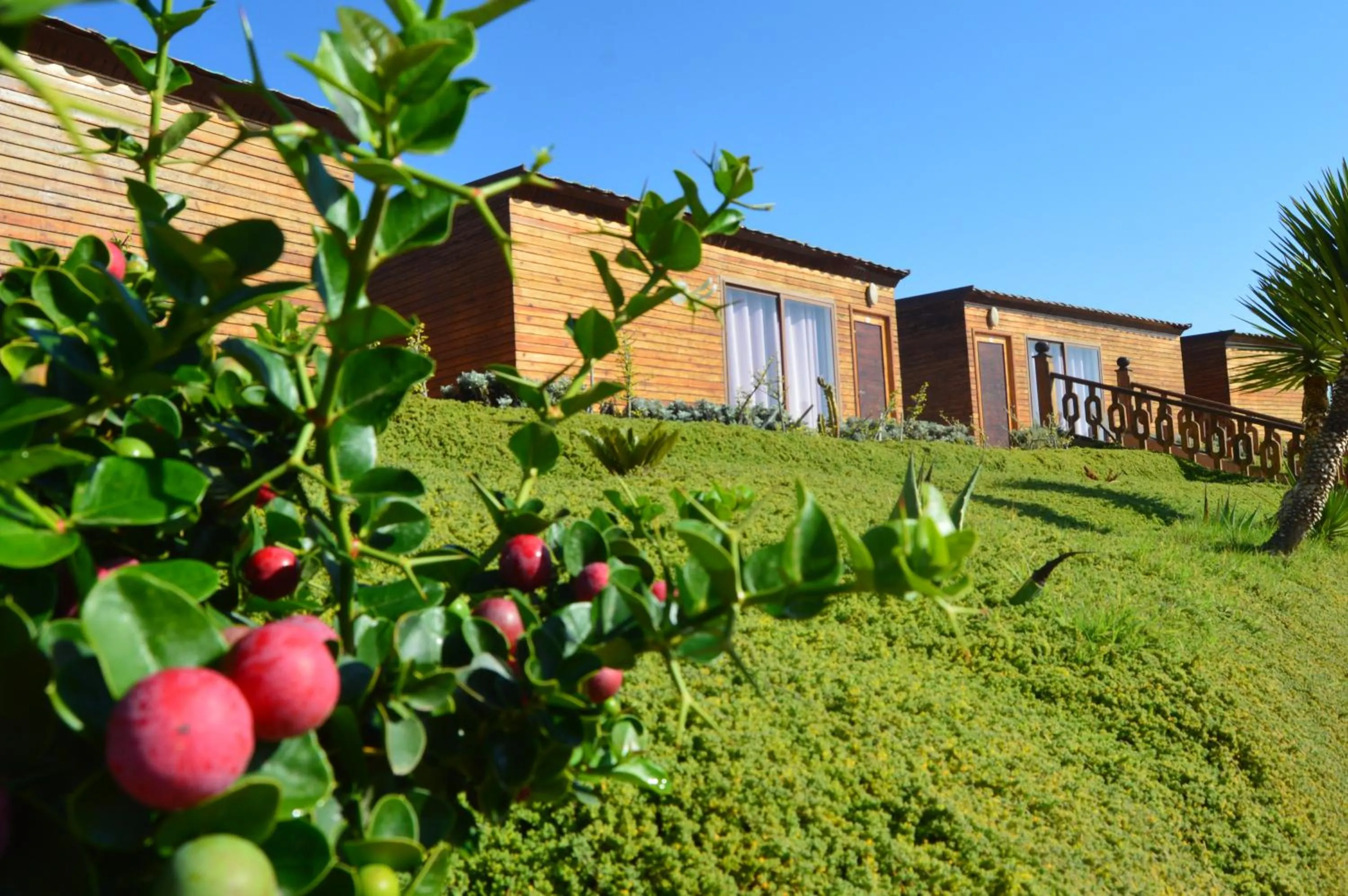 Property building in Dakhla Kitesurf World