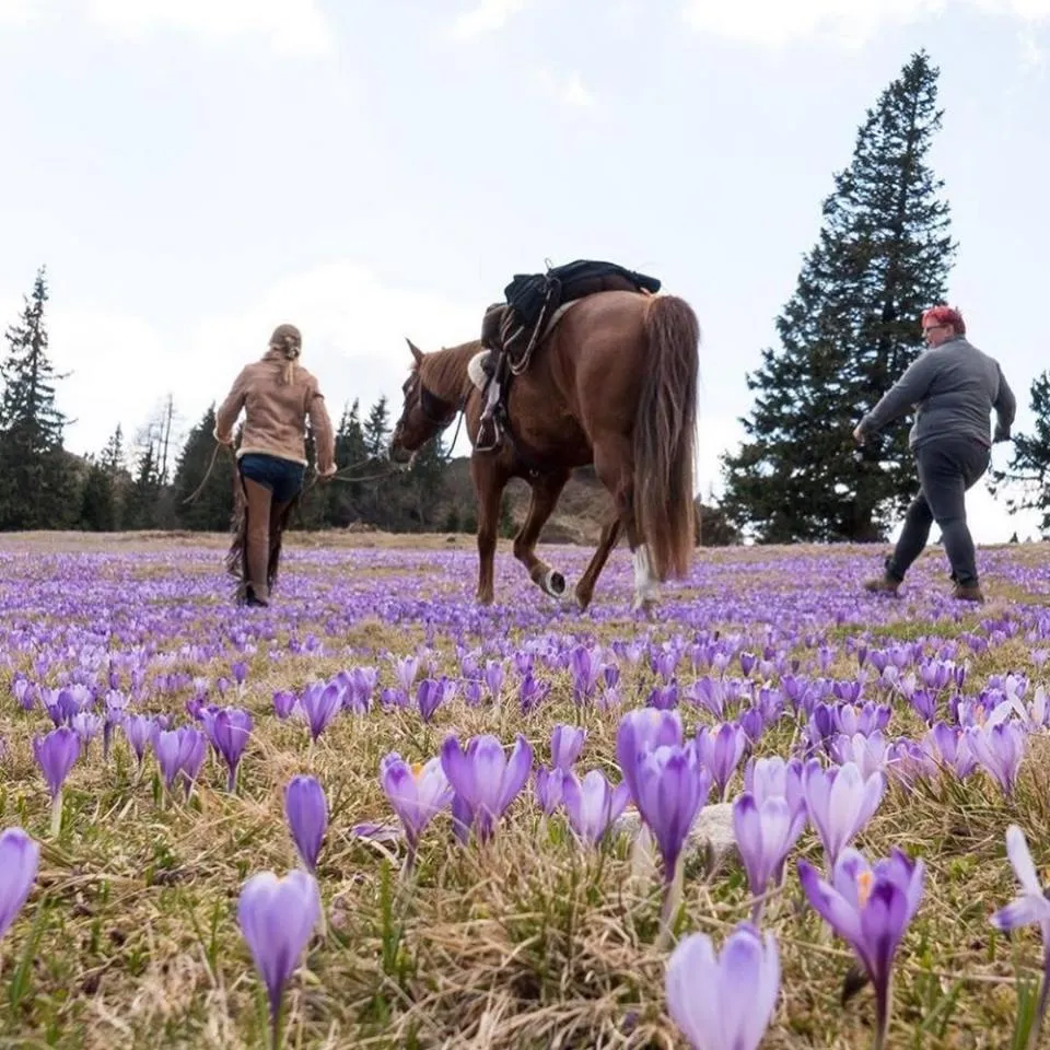 People in Ranch Marina