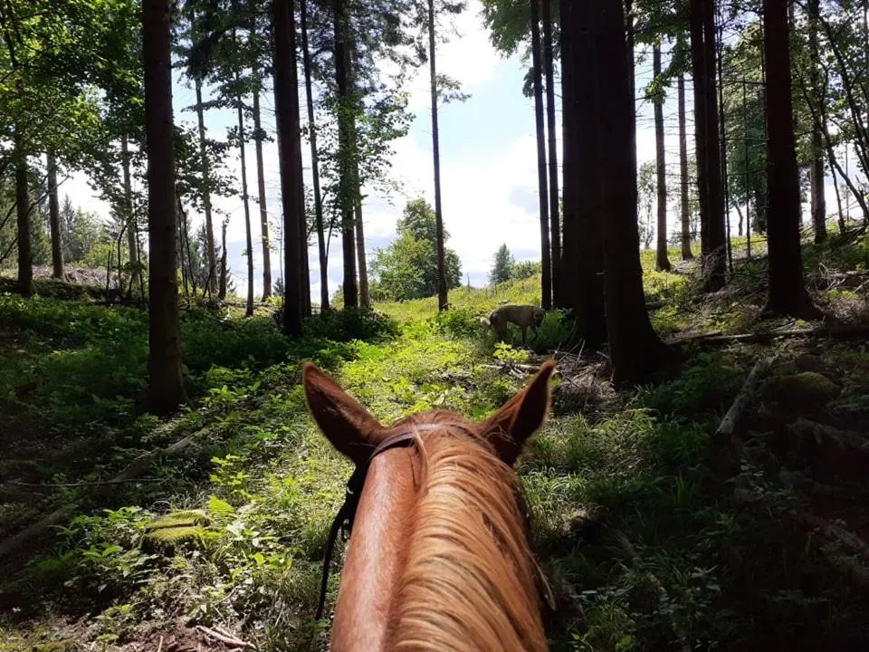 Staff in Ranch Marina