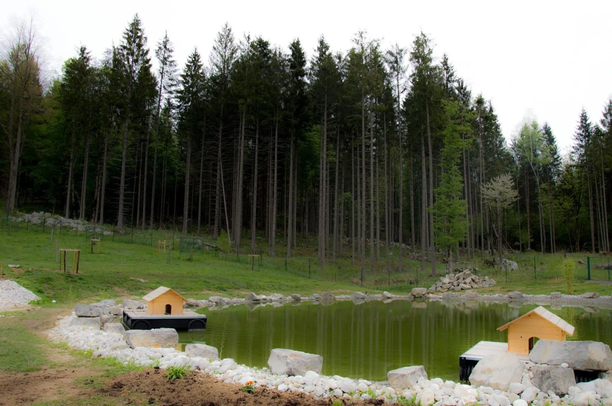 Natural landscape in Ranch Marina