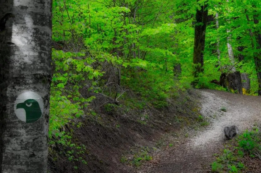 Natural landscape in Ranch Marina