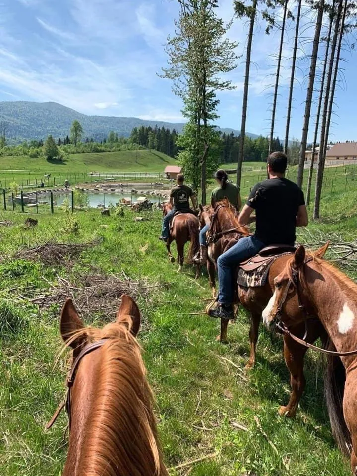 Horse-riding in Ranch Marina