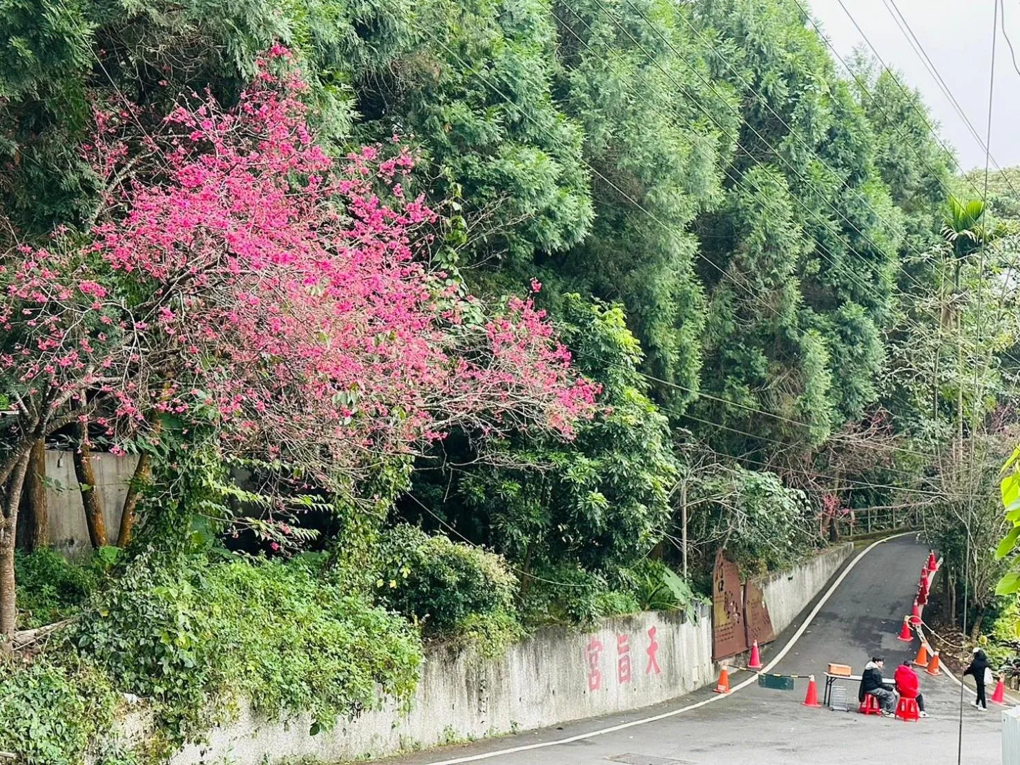 Hiking in Yue Ya Villa