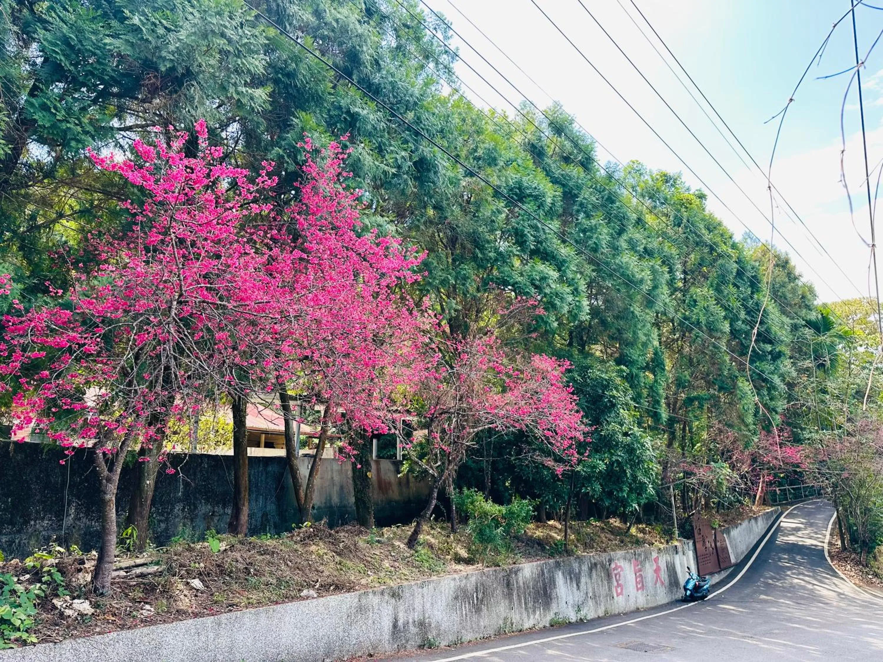 Landmark view in Yue Ya Villa