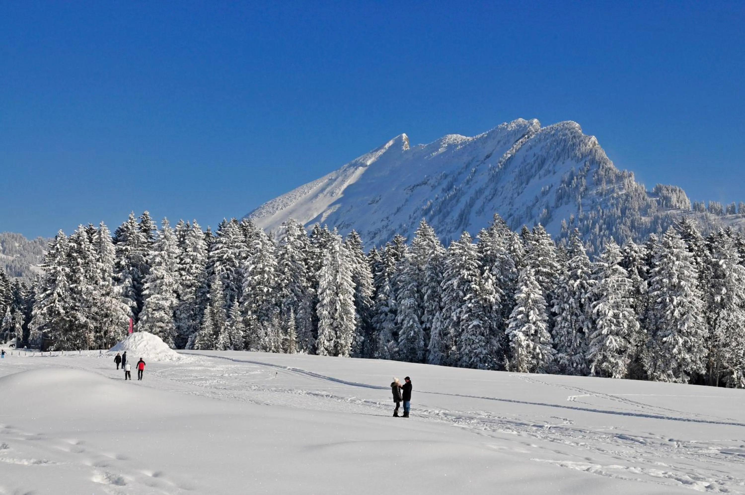 Off site in Hotel Sonne