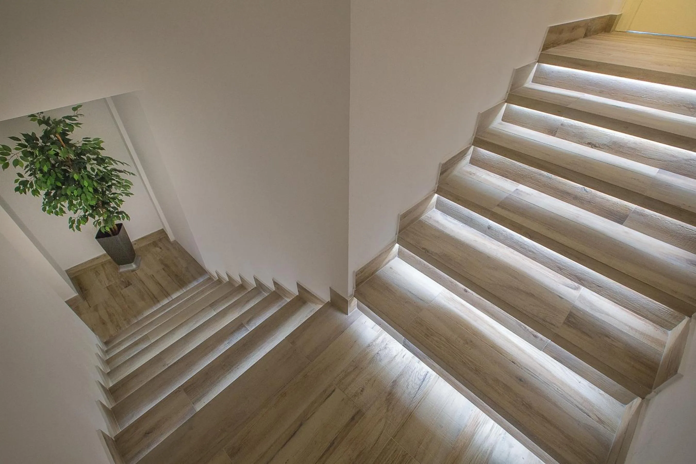 Decorative detail in Palazzo Ducale Suites