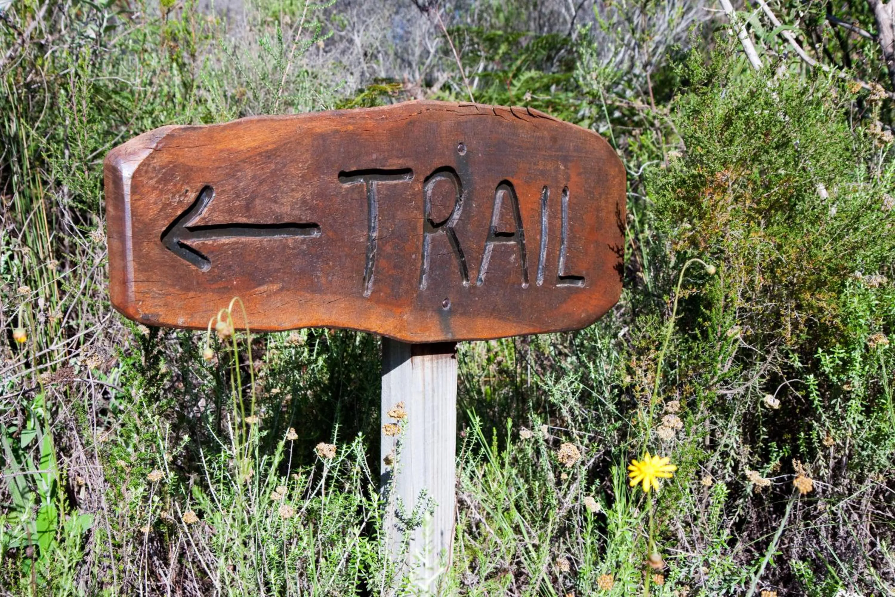 Garden in Fynbos Ridge Country House & Cottages