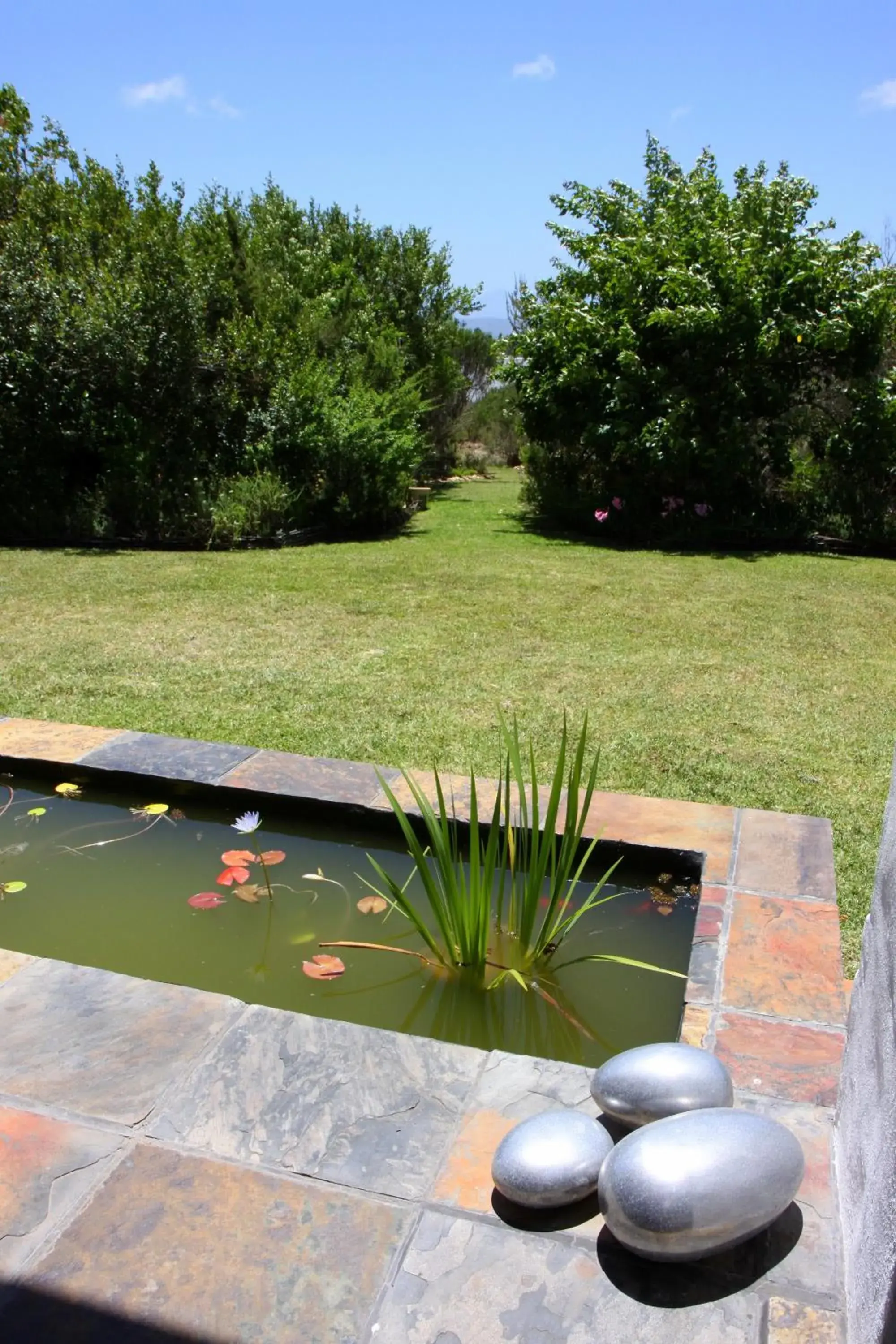 Superior Double or Twin Room in Fynbos Ridge Country House & Cottages Superior Double or Twin Room in Fynbos Ridge Country House & Cottages