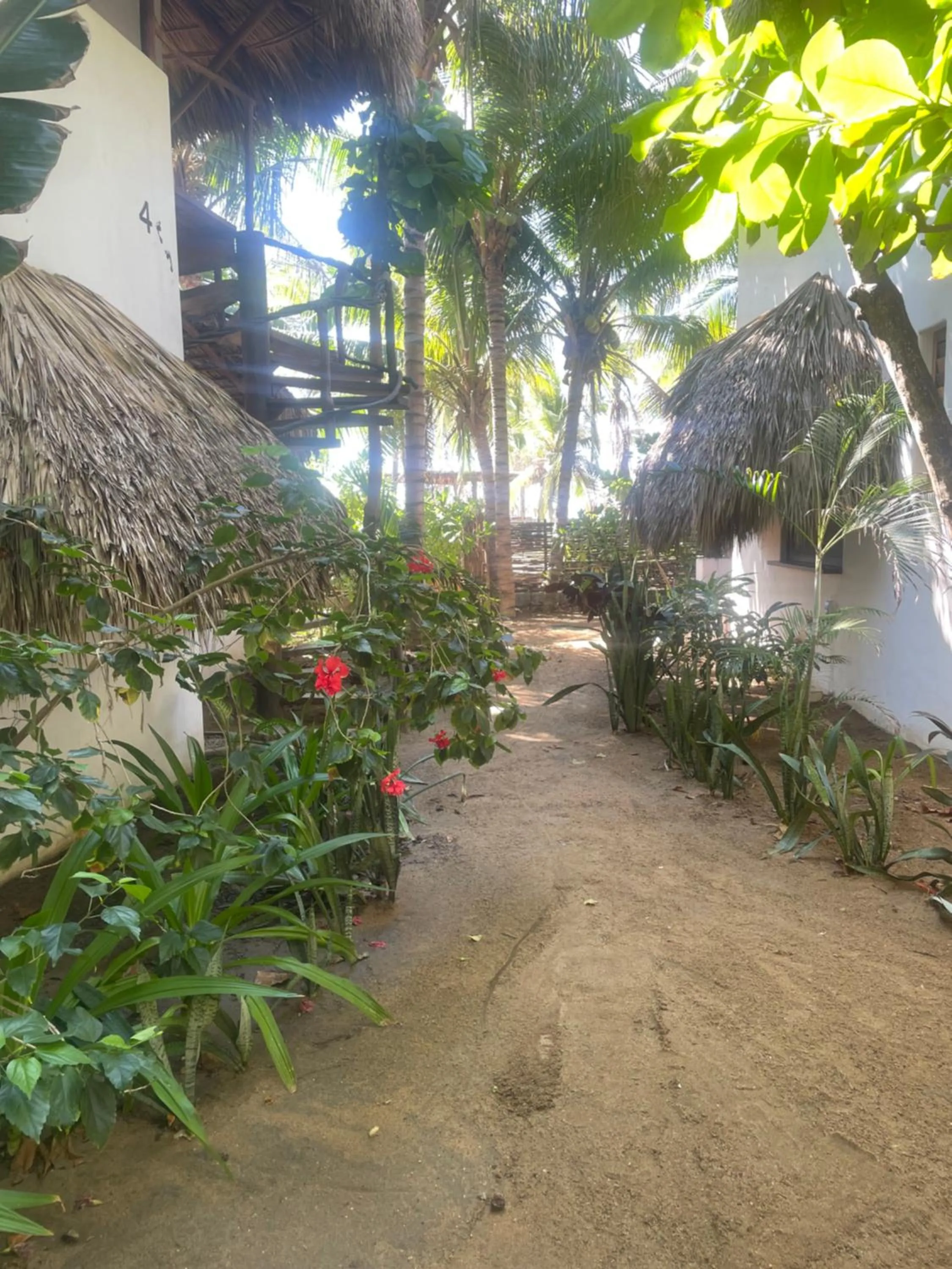 Natural landscape in Hotel Descalzo SPA