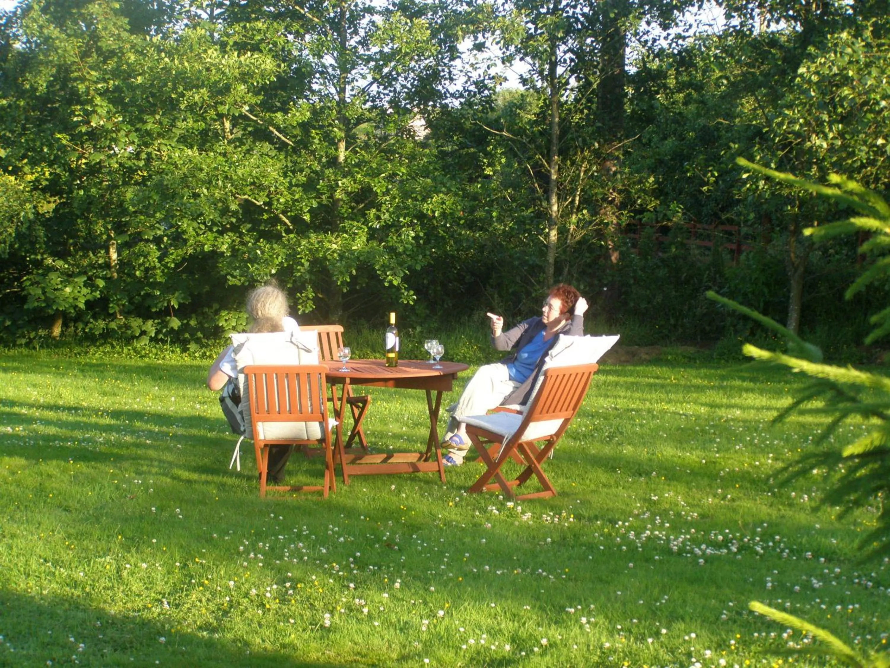 Garden in Killurin Lodge