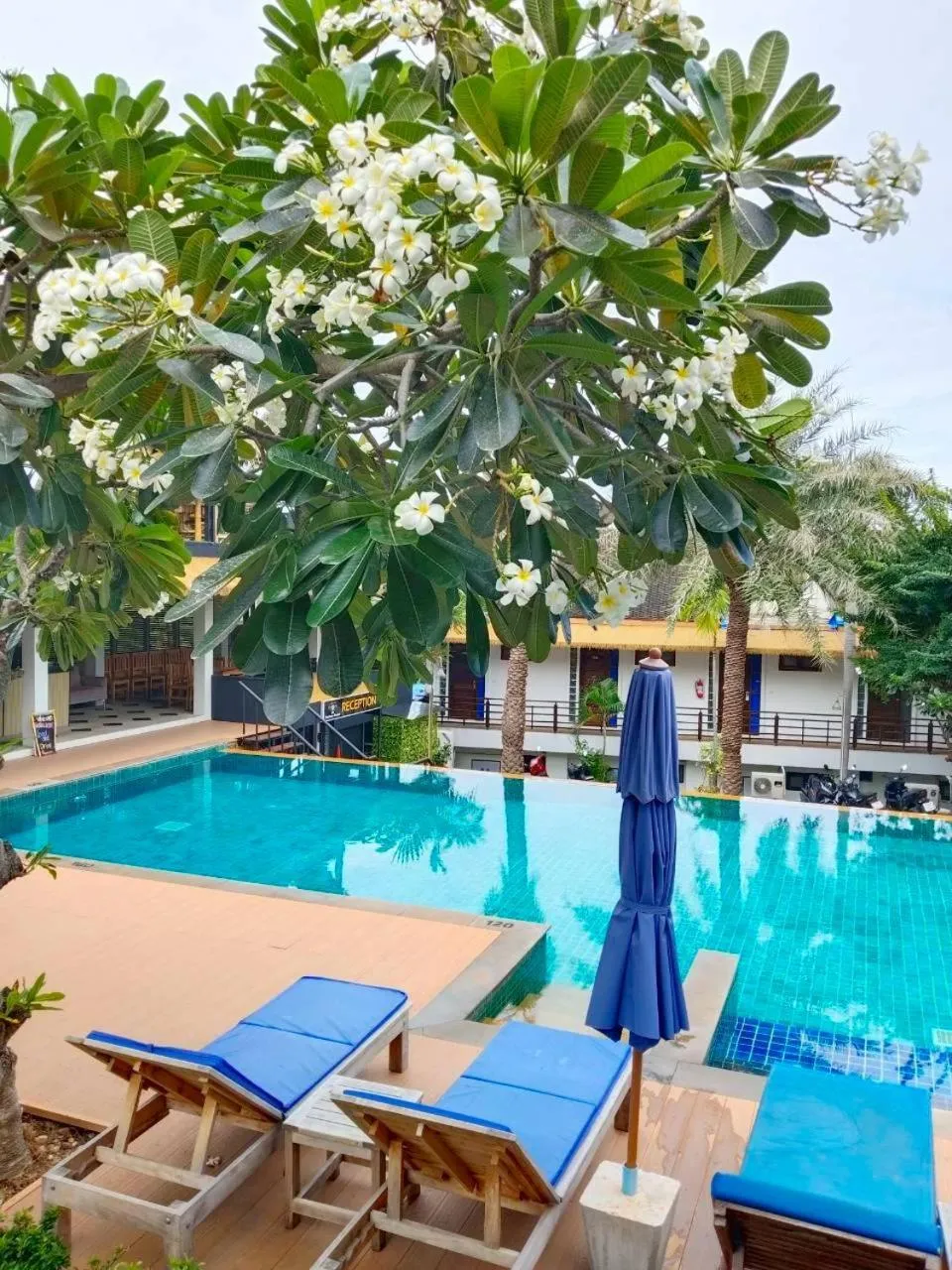 Swimming pool in Sasitara Residence