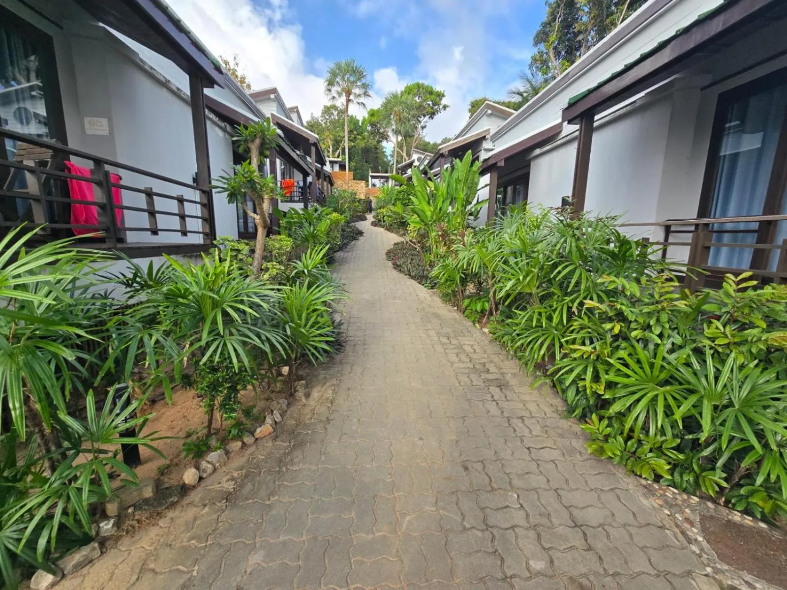 Garden in Sasitara Residence